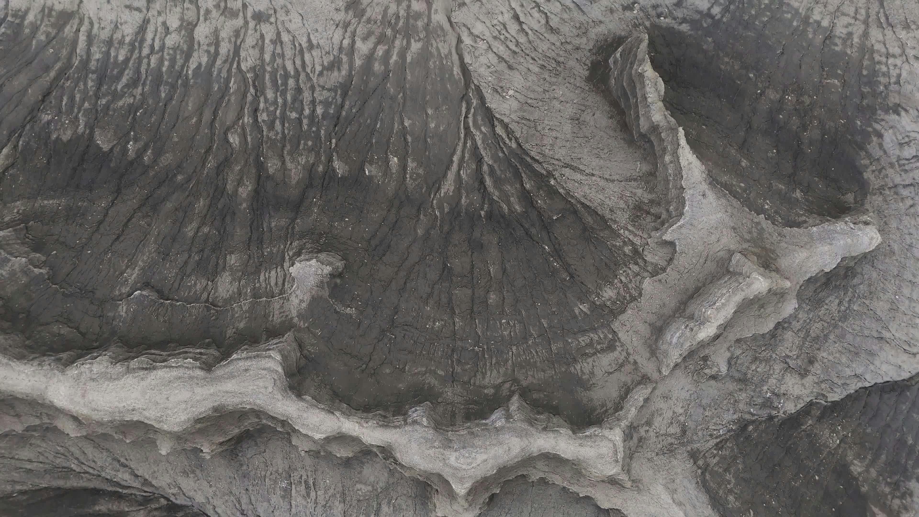 Video by Alex Moliski