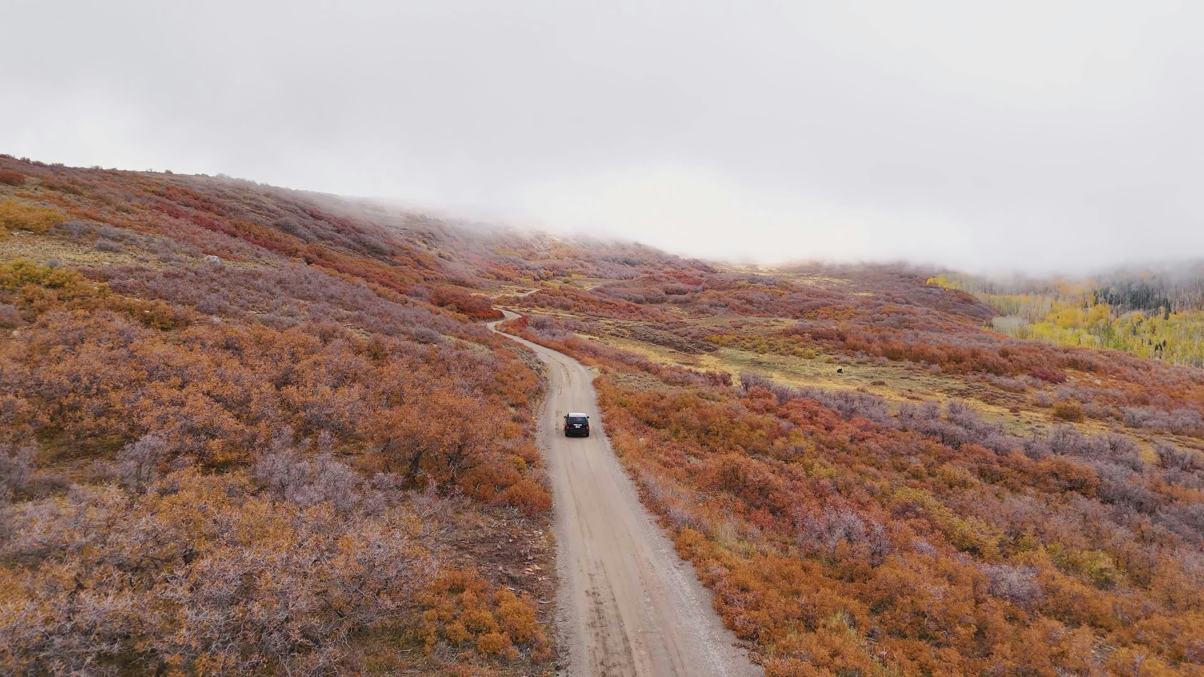 Video by Alex Moliski