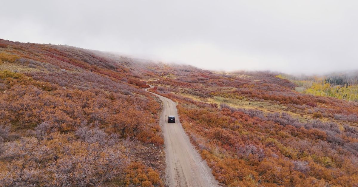 Remote Fall Scene Scenic Autumn Drive Through Remote Mountain Pass Free Stock Video ...