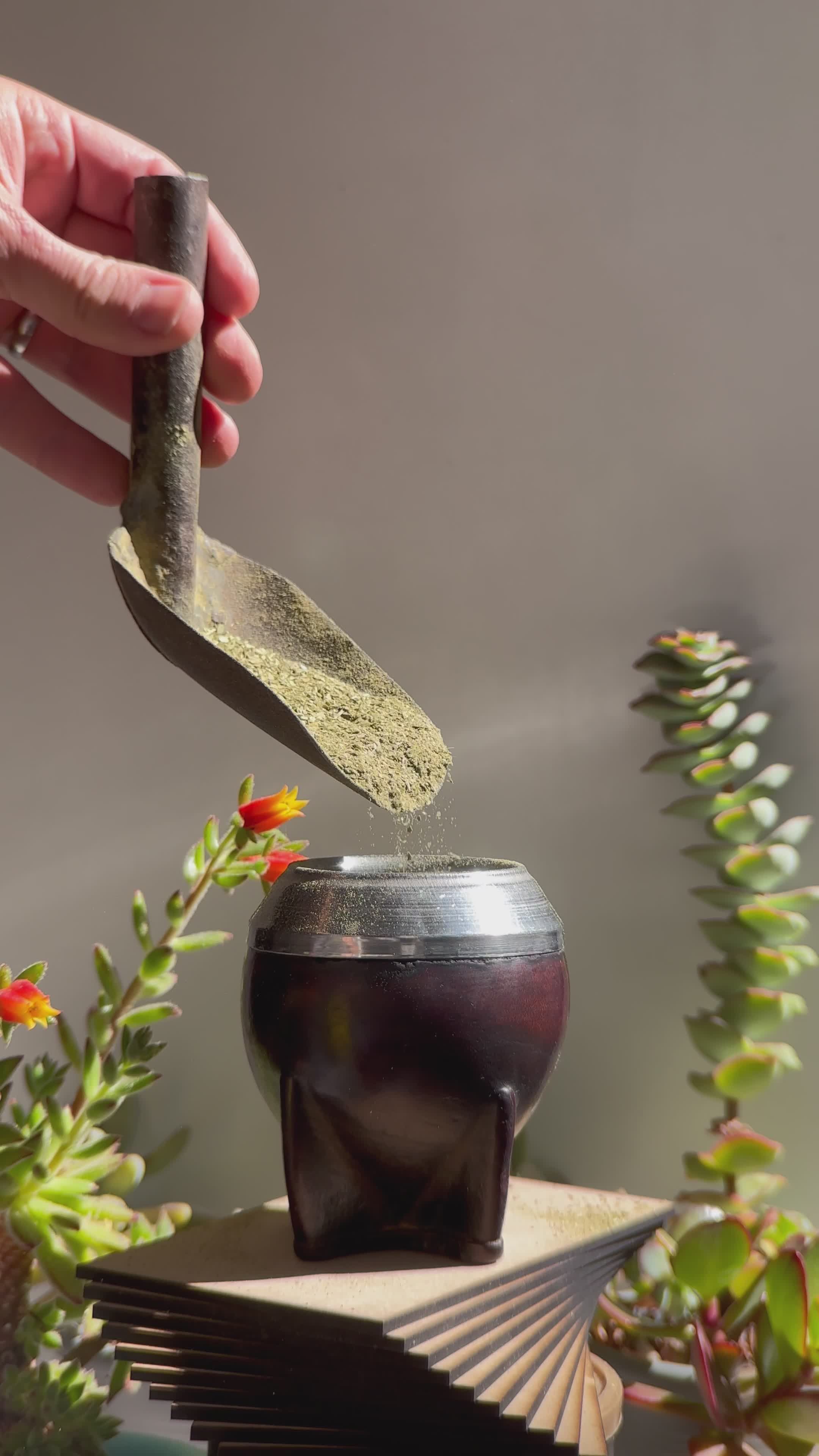 Preparing Traditional Yerba Mate Outdoors Free Stock Video Footage ...