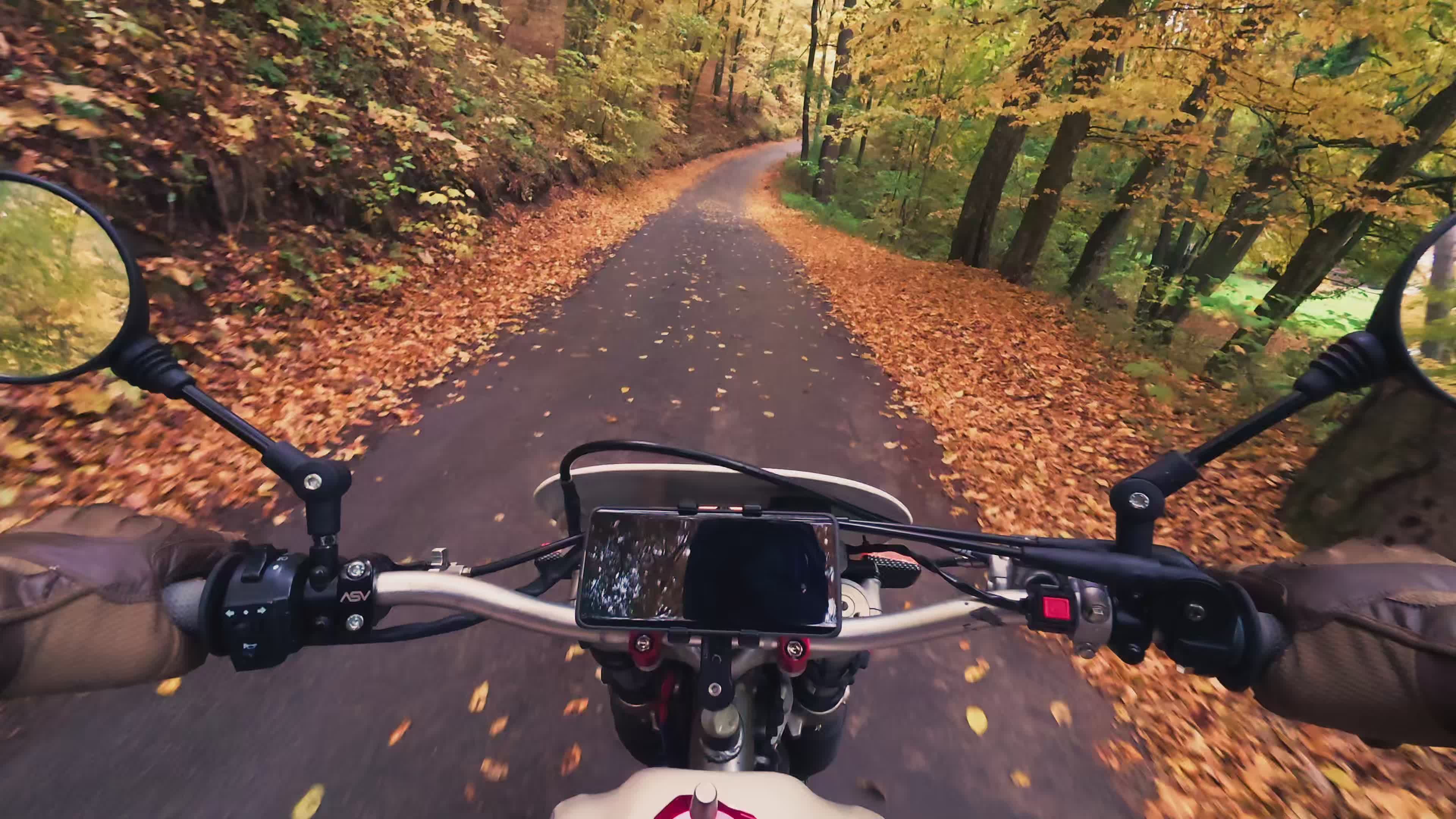 Motorcycle Ride Through Scenic Autumn Forest Free Stock Video Footage ...