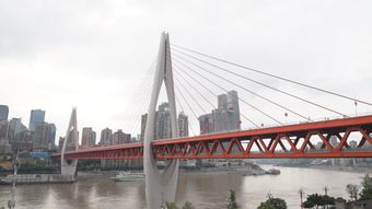 重庆地标高清视频高清视频免费下载视频素材