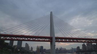 重庆 夏天视频素材