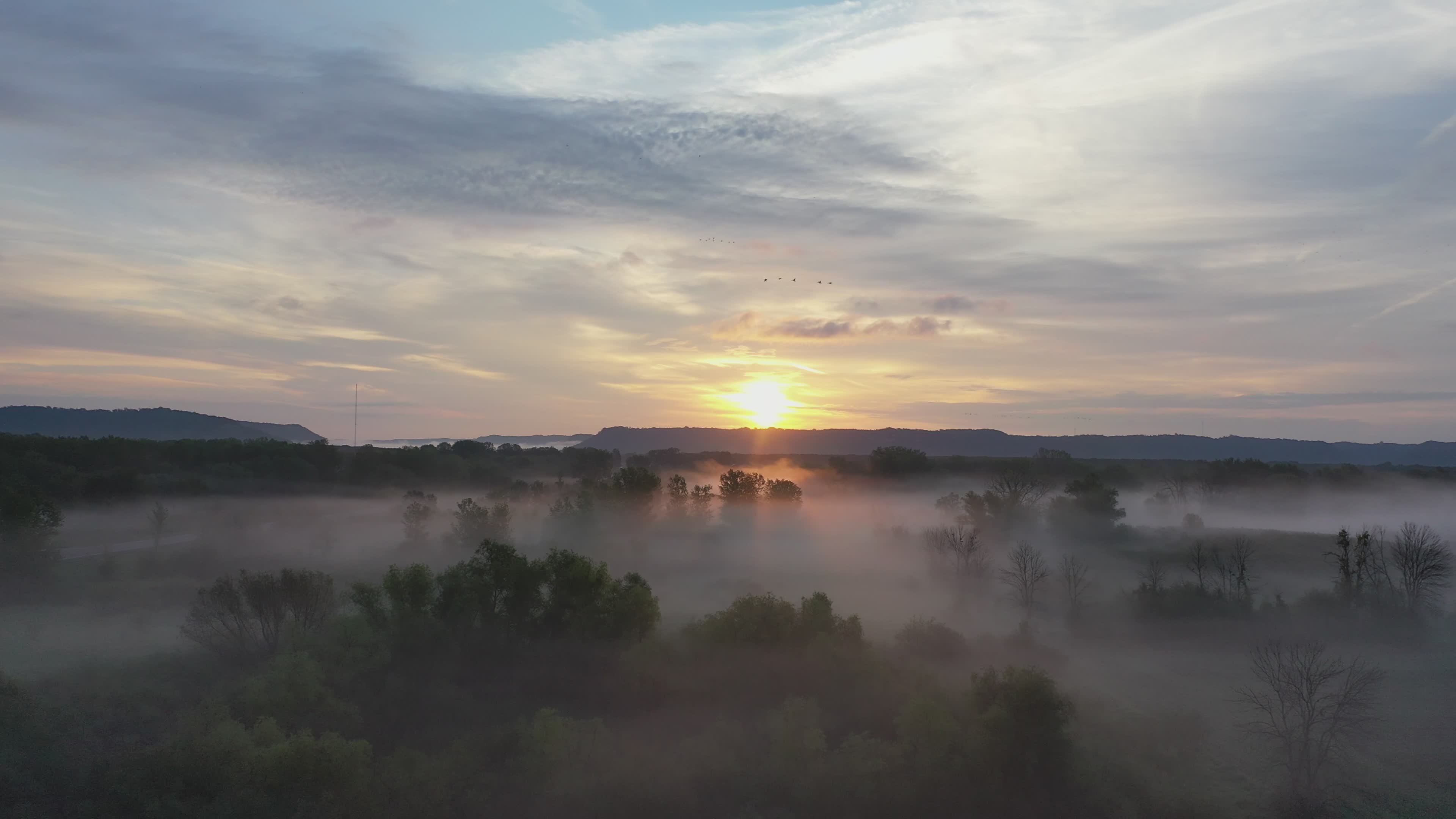 Video by Tom Fisk