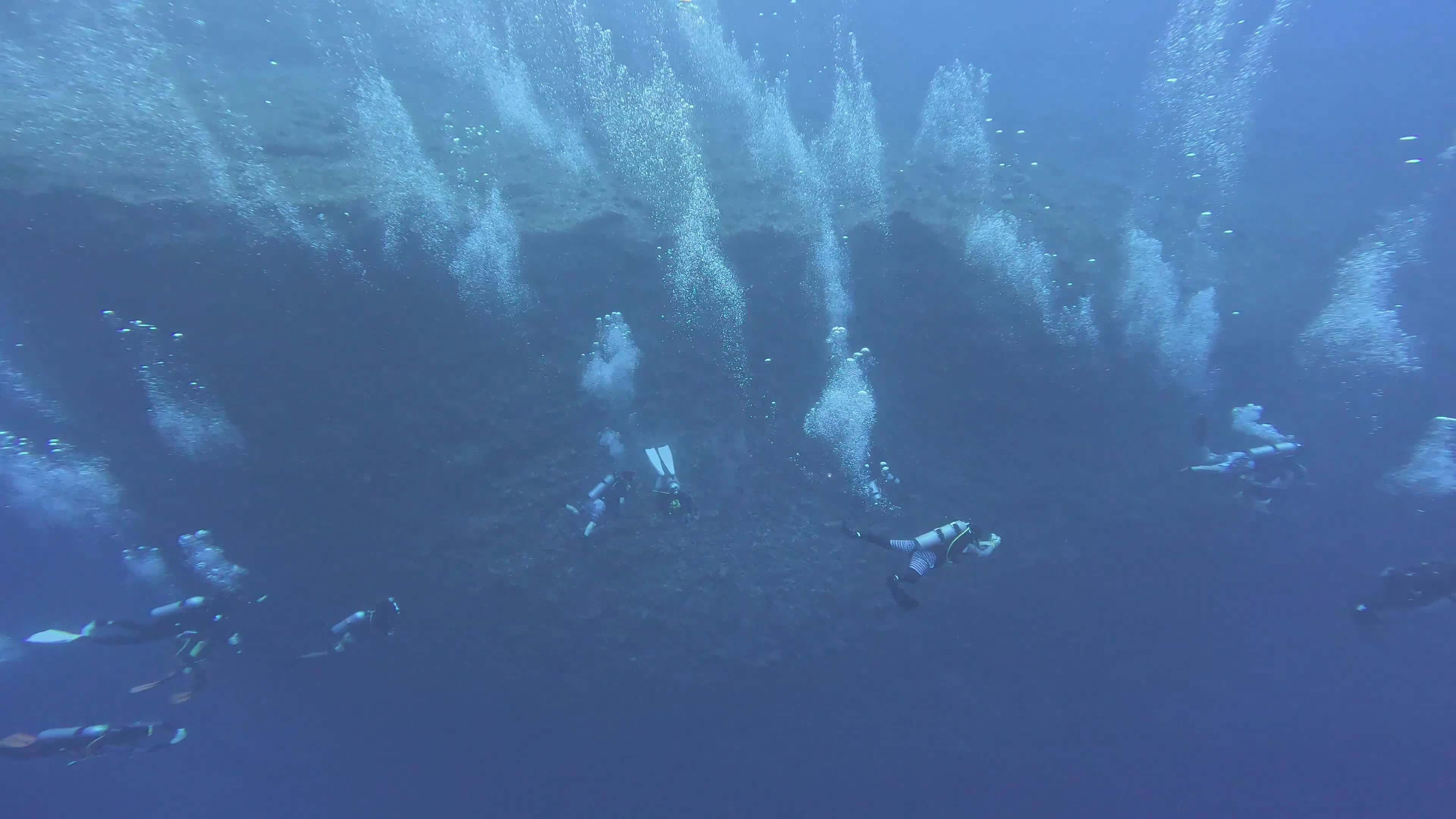 Scuba Divers Exploring Underwater World Free Stock Video Footage ...