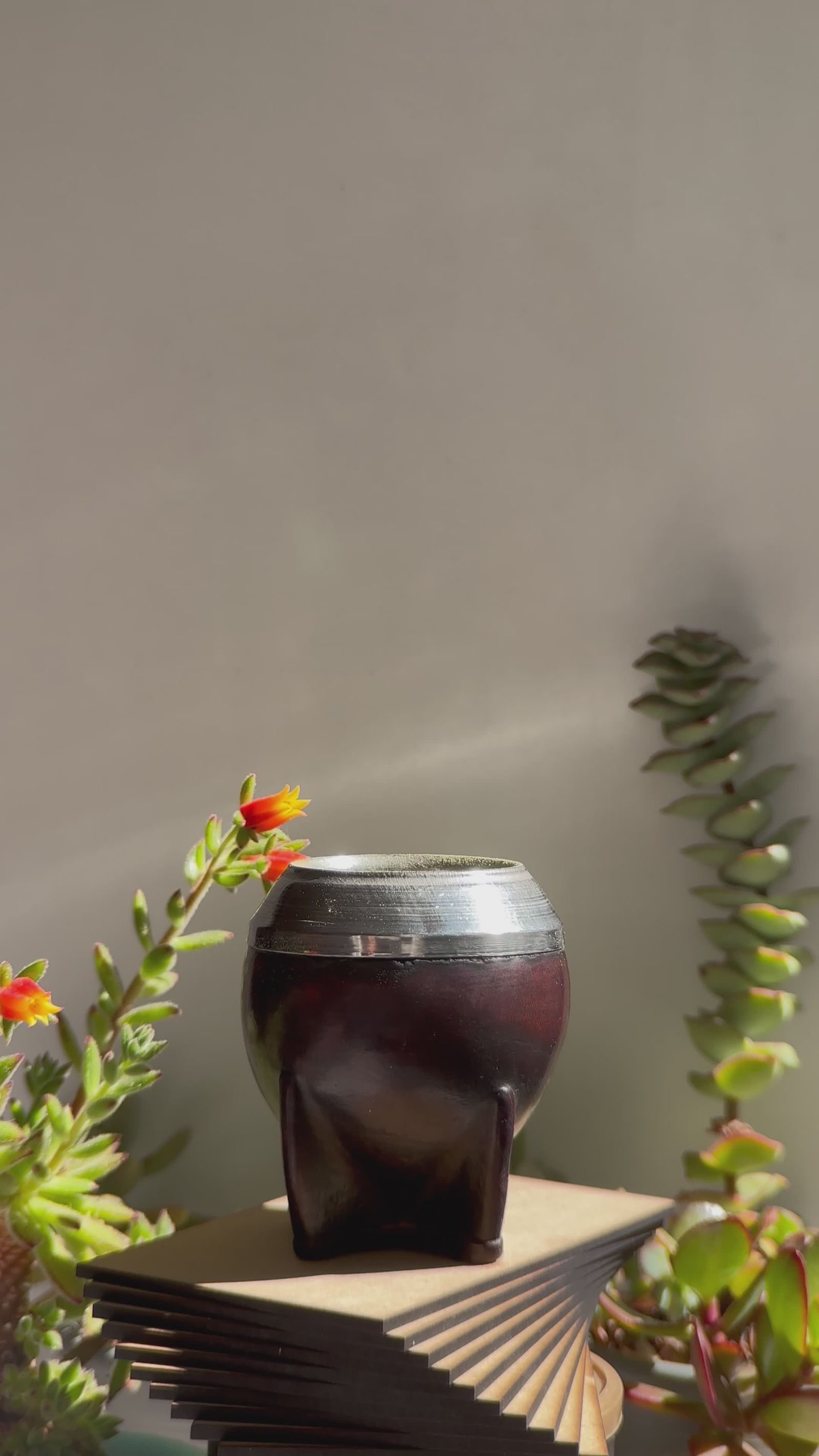 El Ritual Del Mate: Una Cálida Tradición Uruguaya · Vídeo de stock gratuito