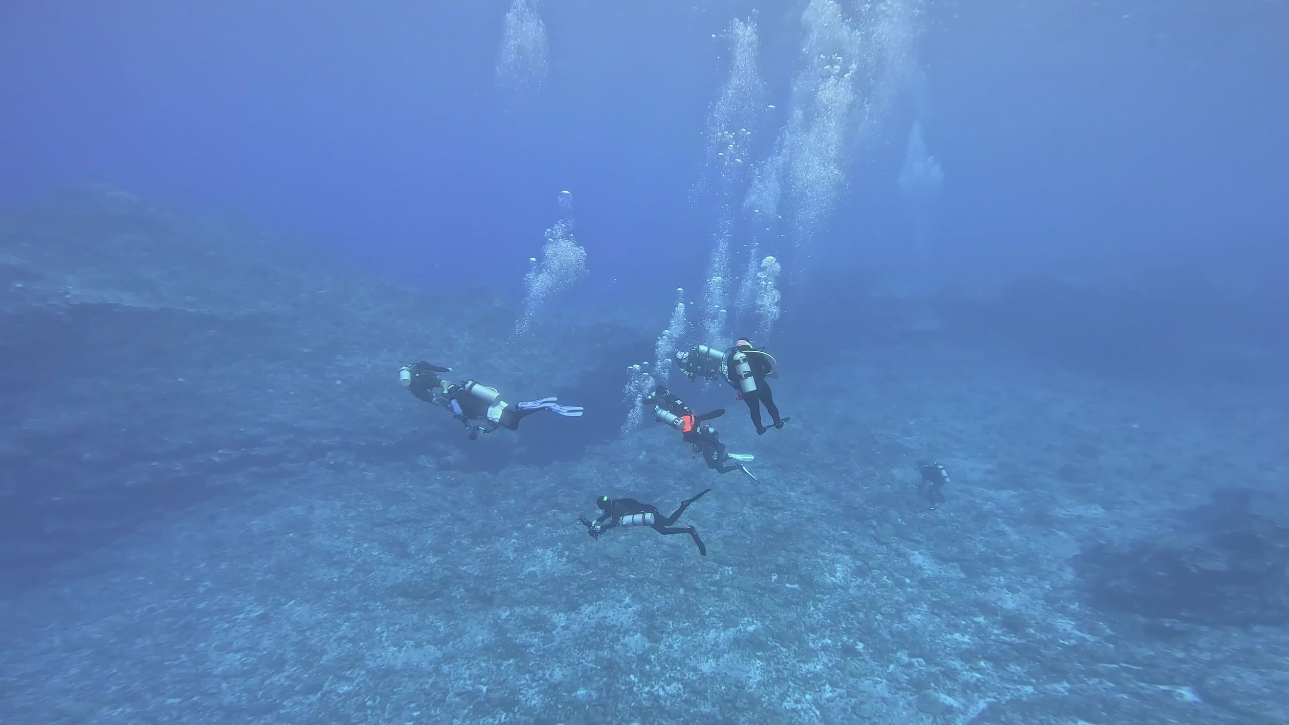 Underwater Divers Exploring Vibrant Coral Reef Free Stock Video Footage ...