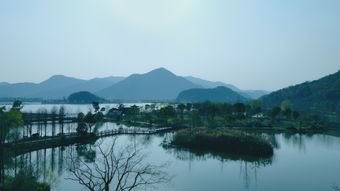 春视频素材免费下载高清视频视频素材视频素材