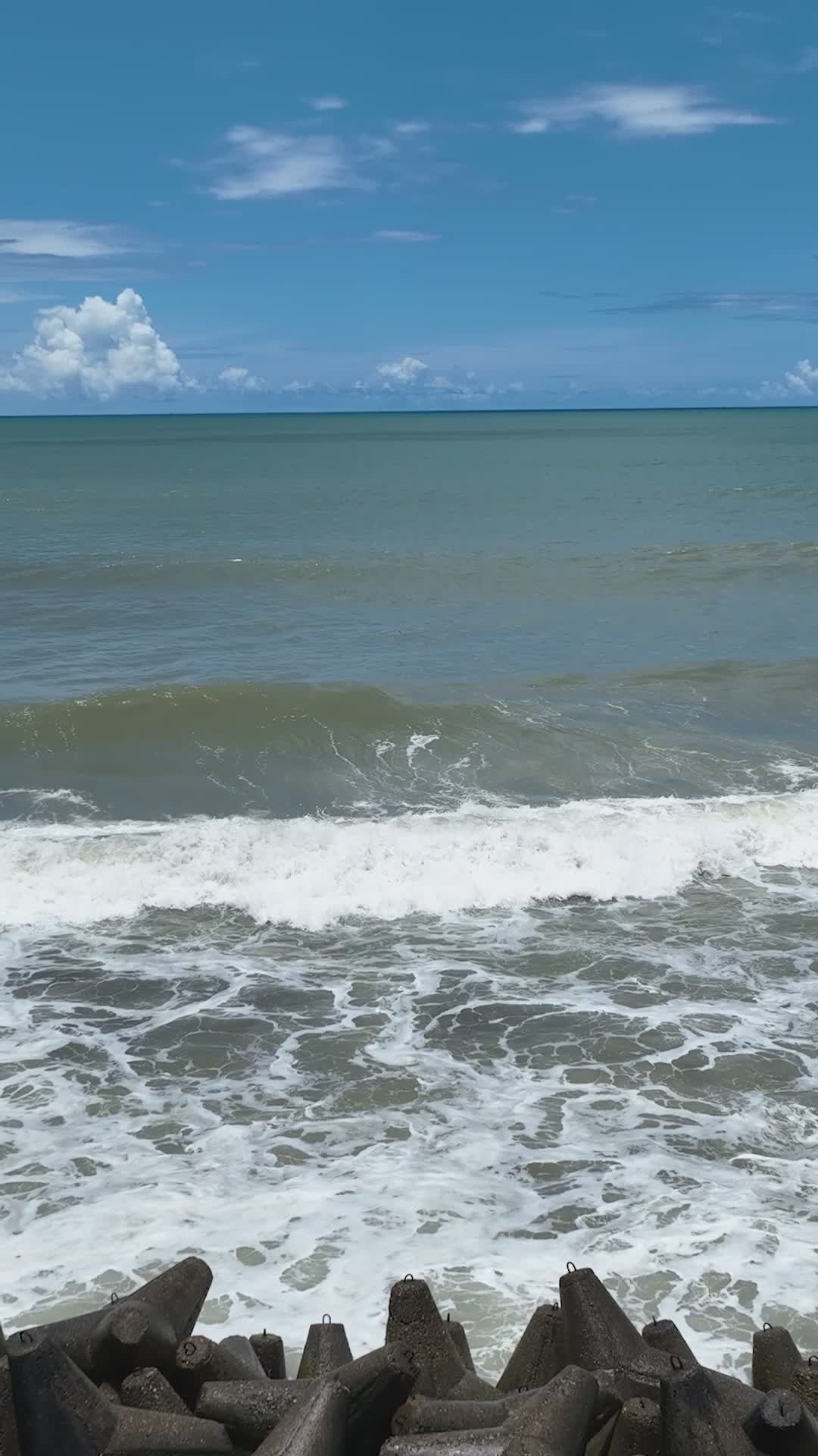 Pexels Video 34347178