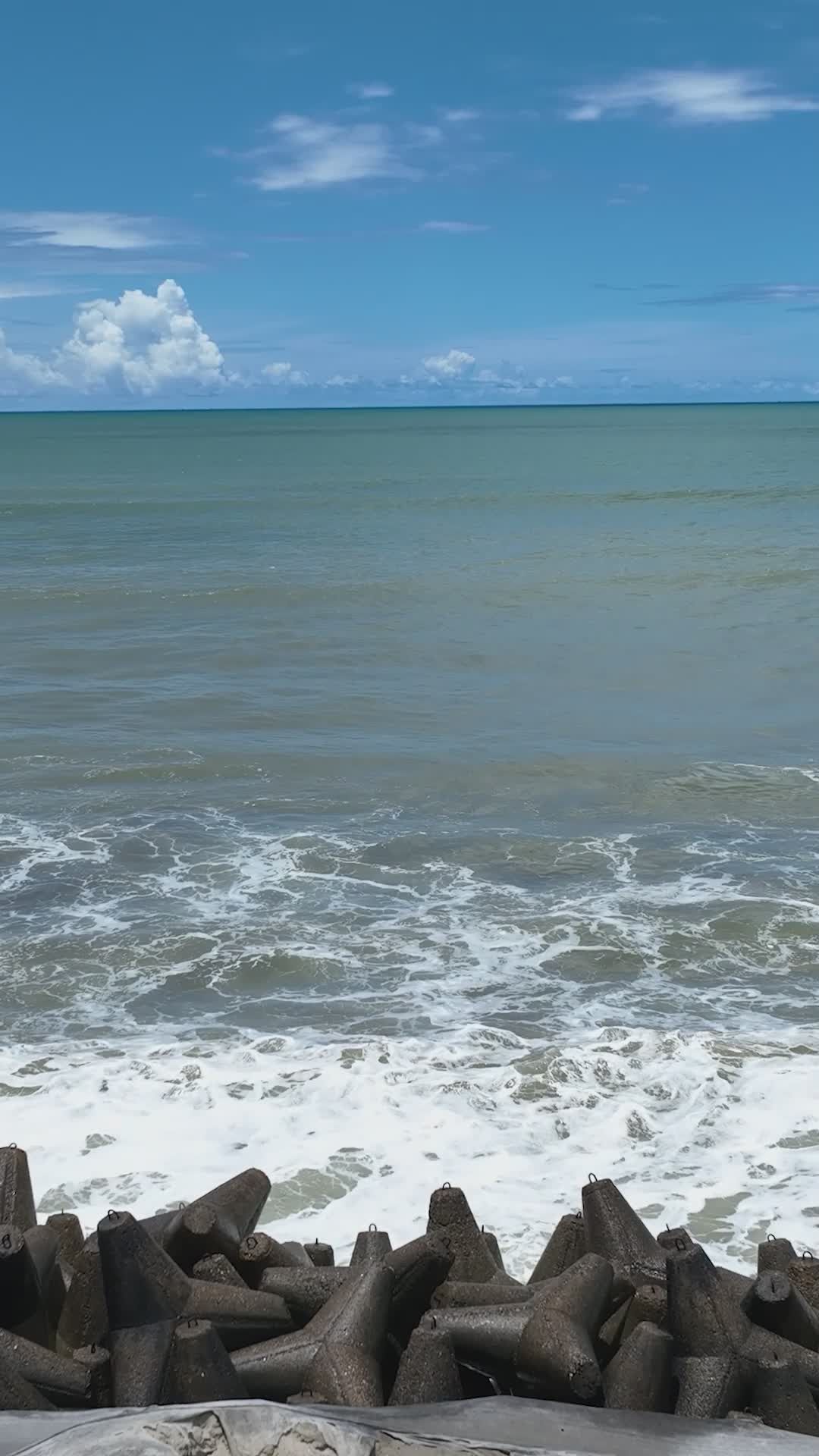 Pexels Video 34347181