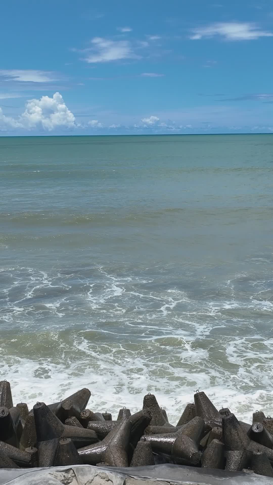 Pexels Video 34347184