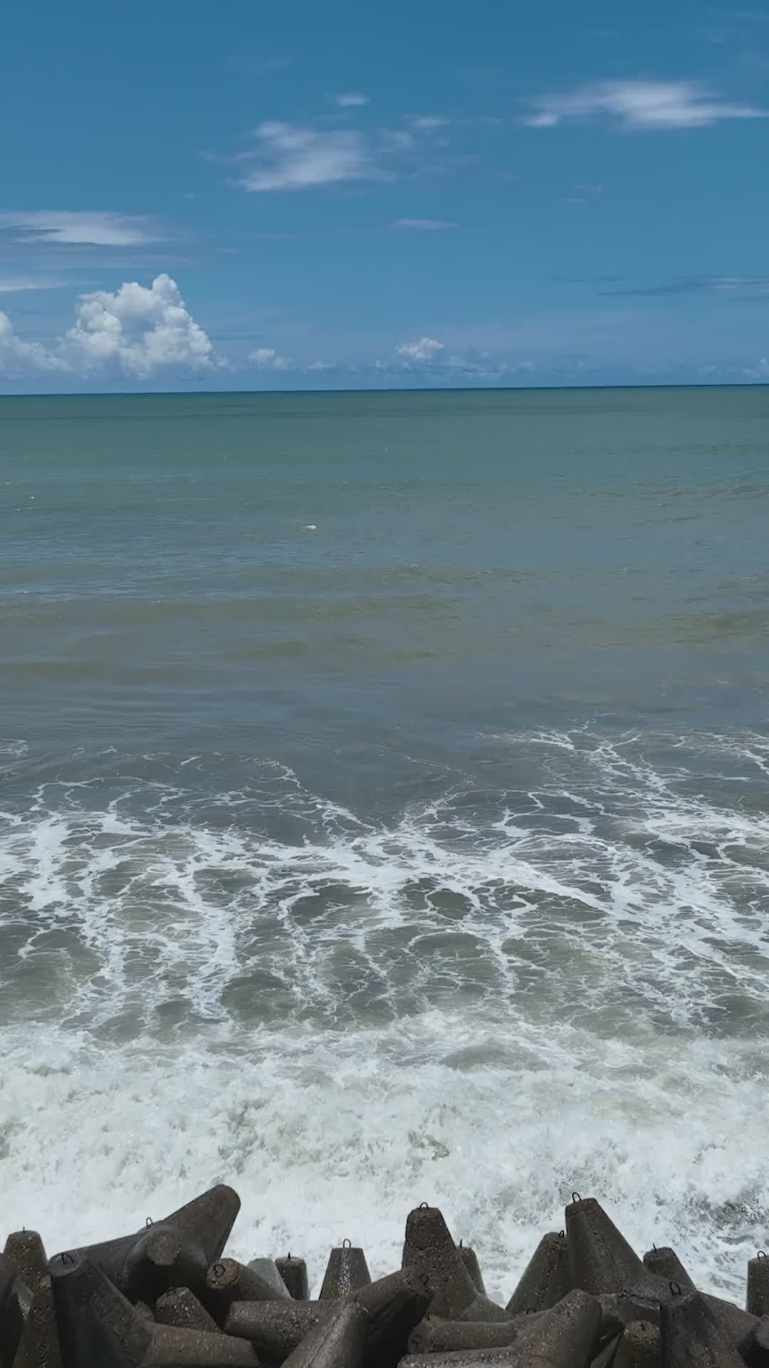 Pexels Video 34347185