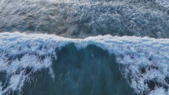 海免费下载视频素材