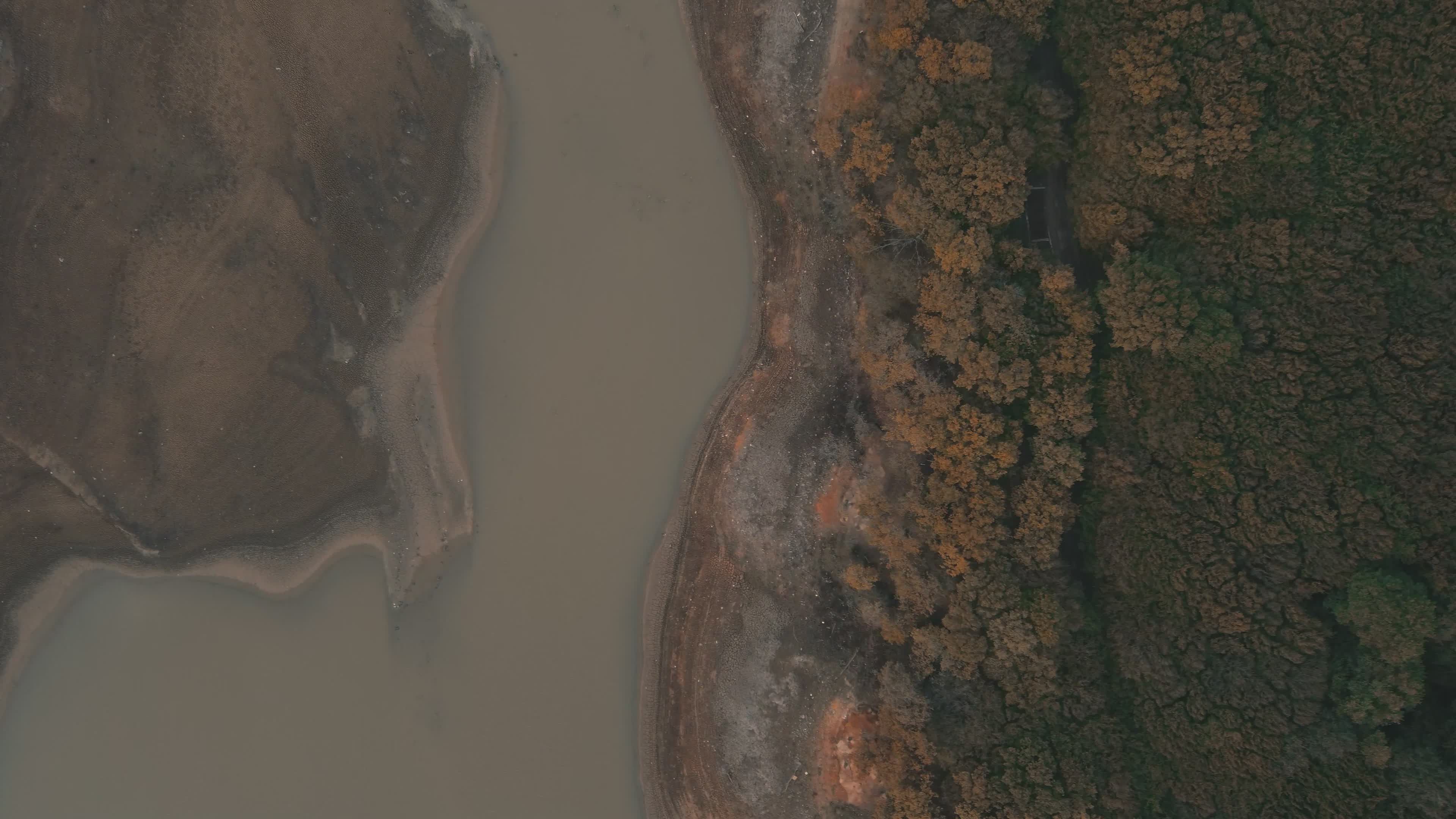 Aerial View of Autumn Forest by Serene Lake Free Stock Video Footage ...