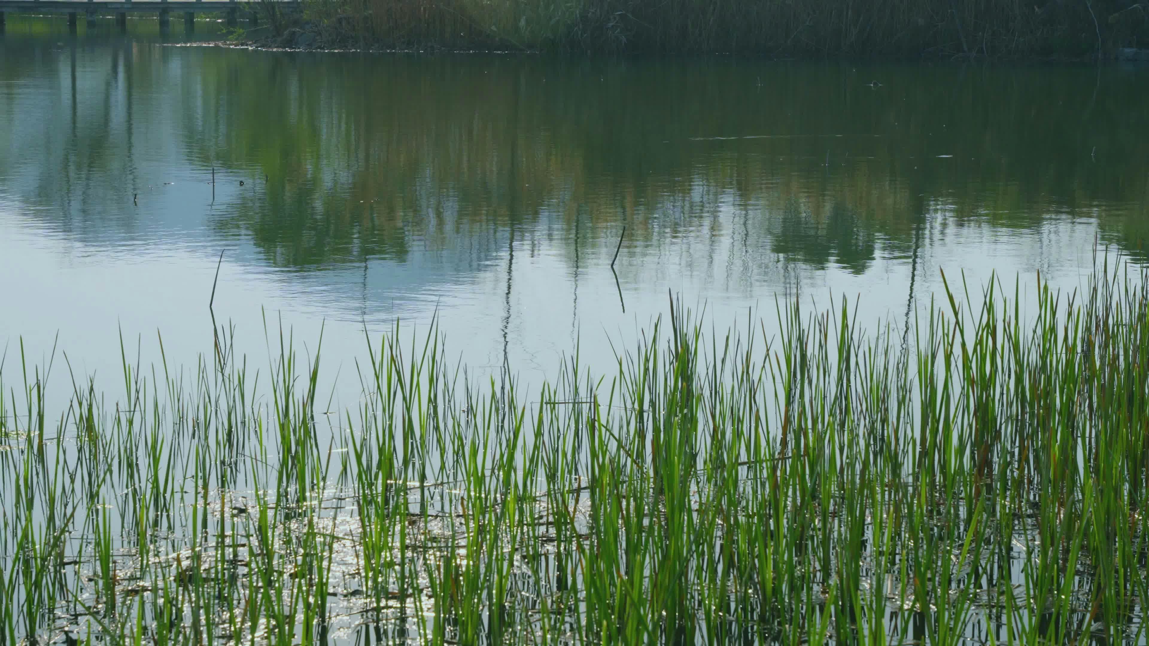 Video by Acres of Film