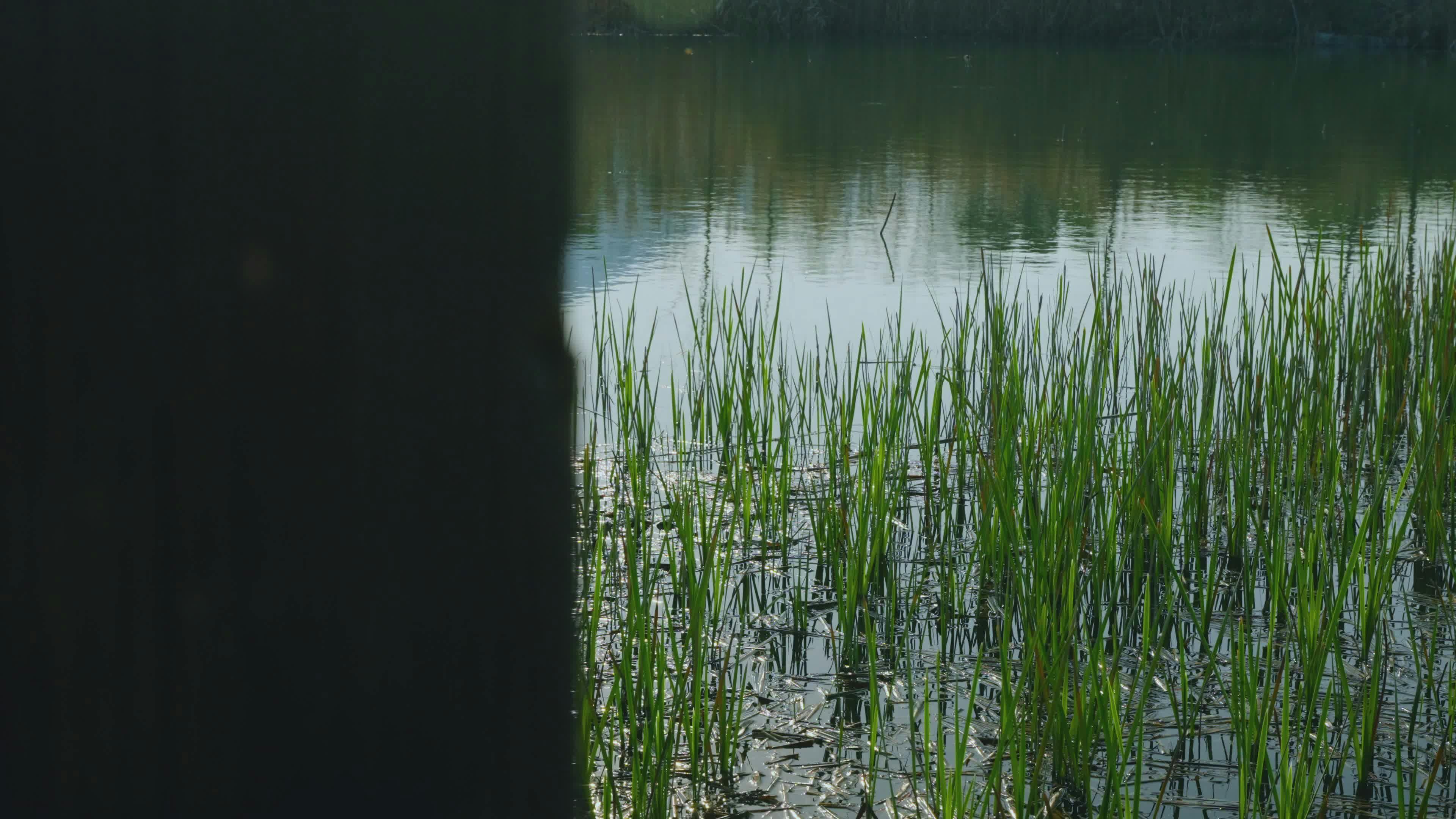 Video by Acres of Film