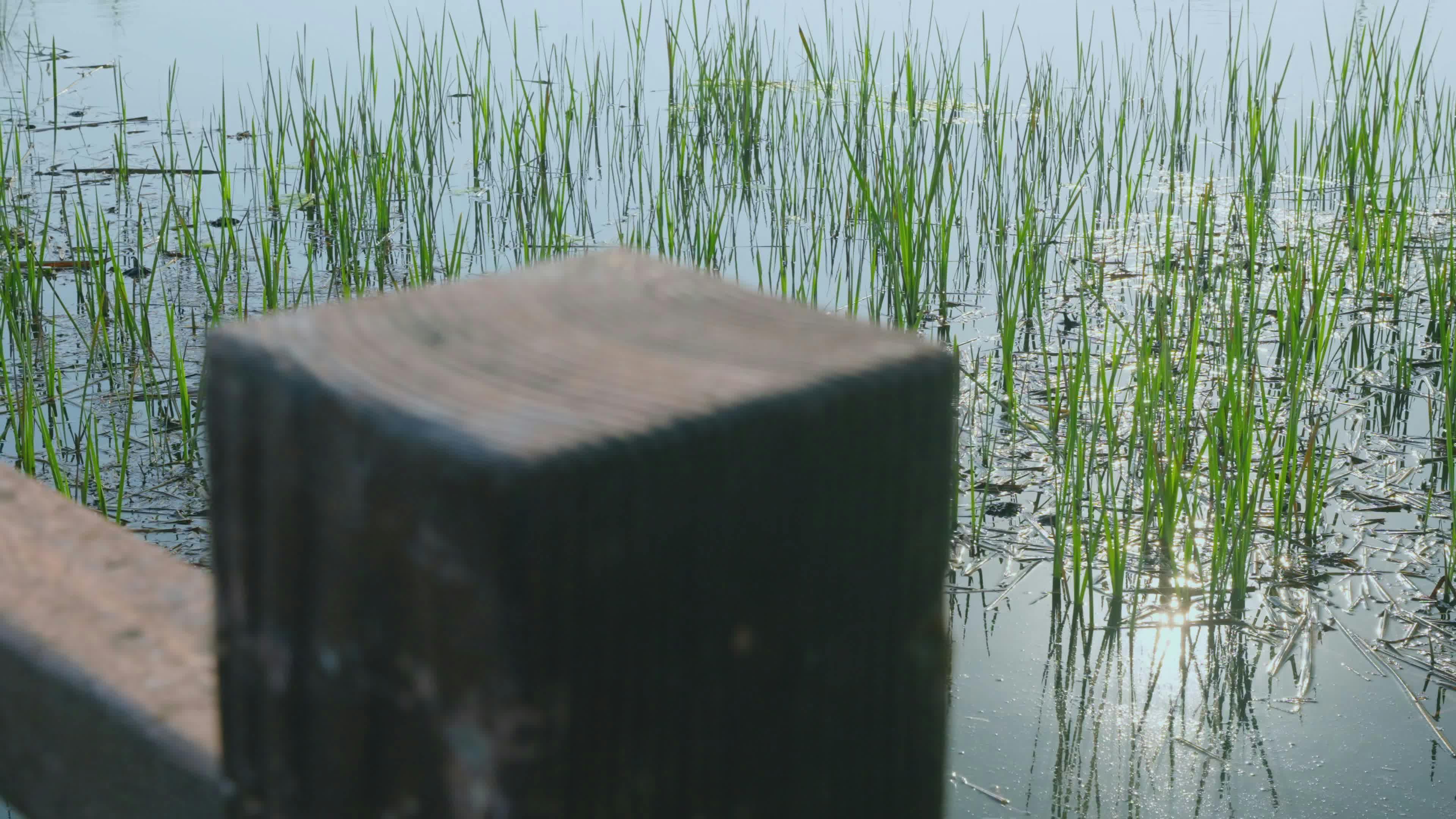 Video by Acres of Film