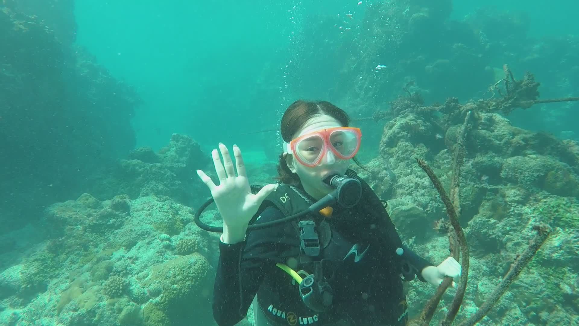 Underwater Adventure with Diver and Colorful Fish Free Stock Video ...