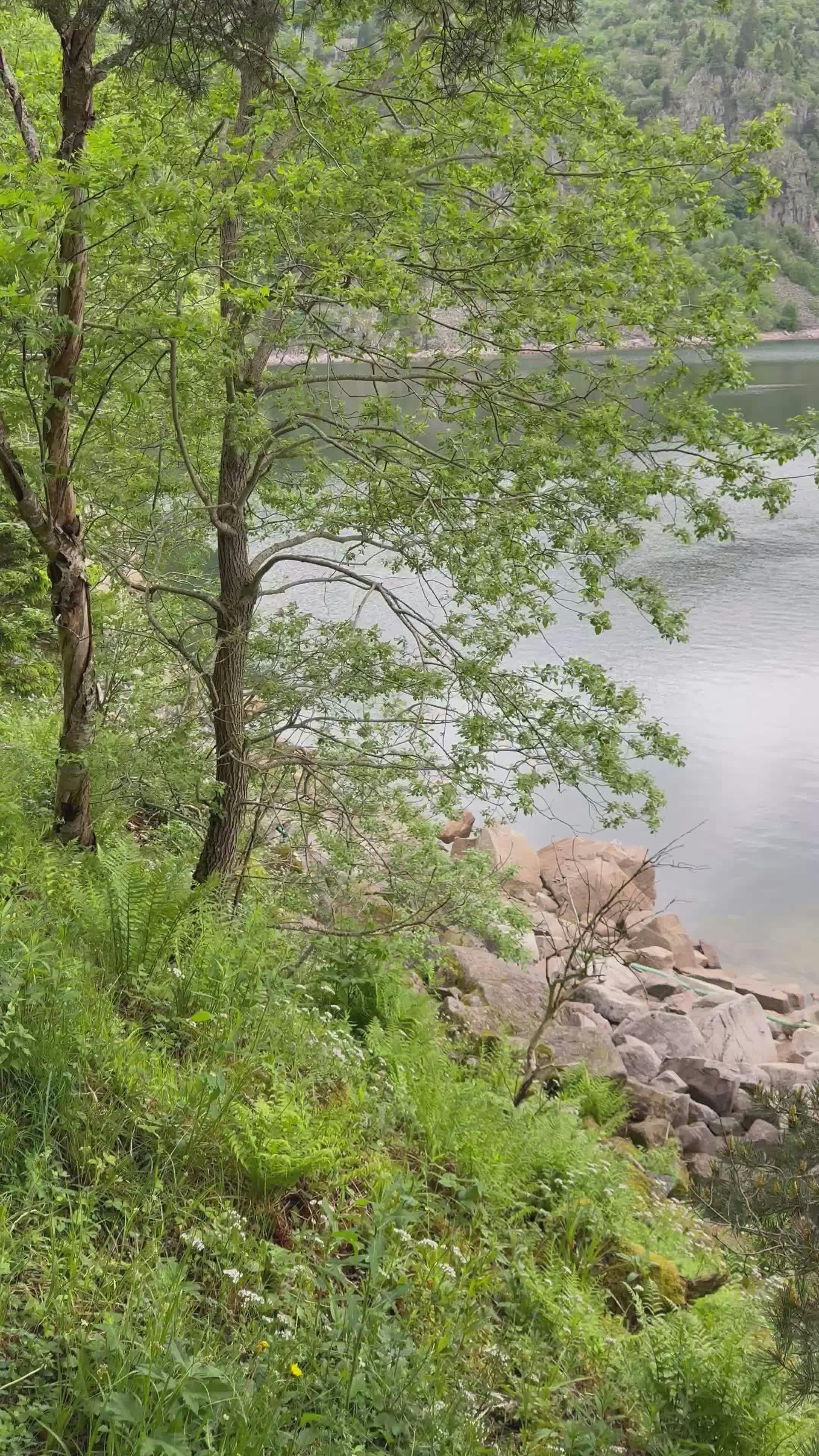 Video by Gaetan THURIN