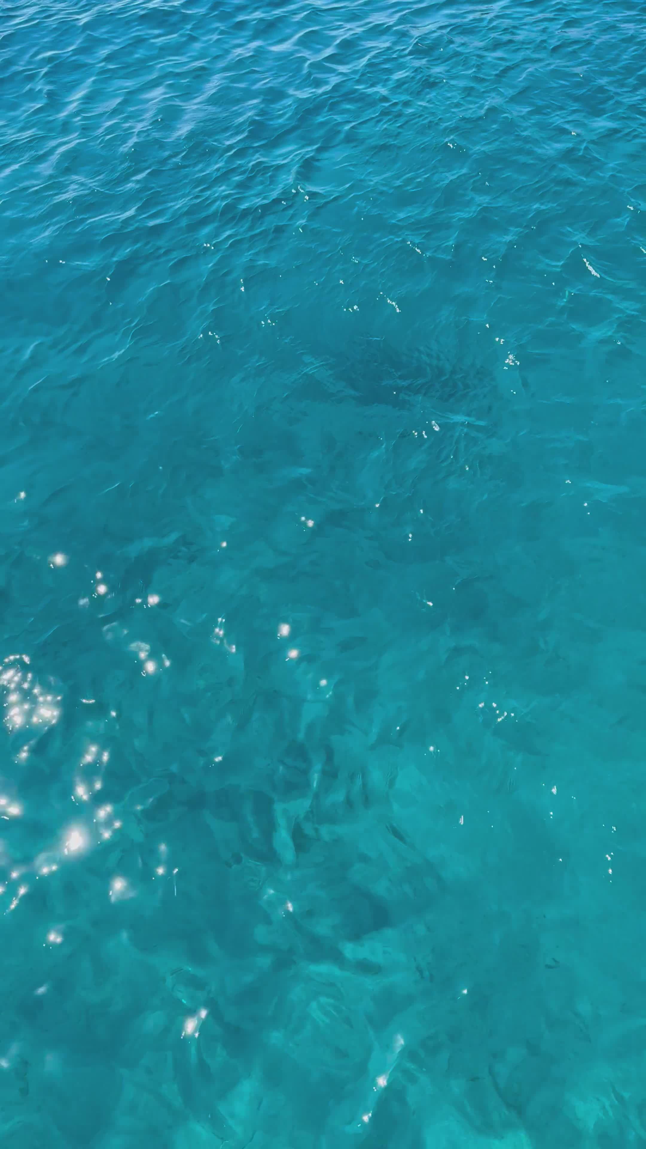 the ocean is another world 🌊
🎥 Rumeysa Nur Çelik · Pexels
#ocean #underwater #marinelife #nature #relax