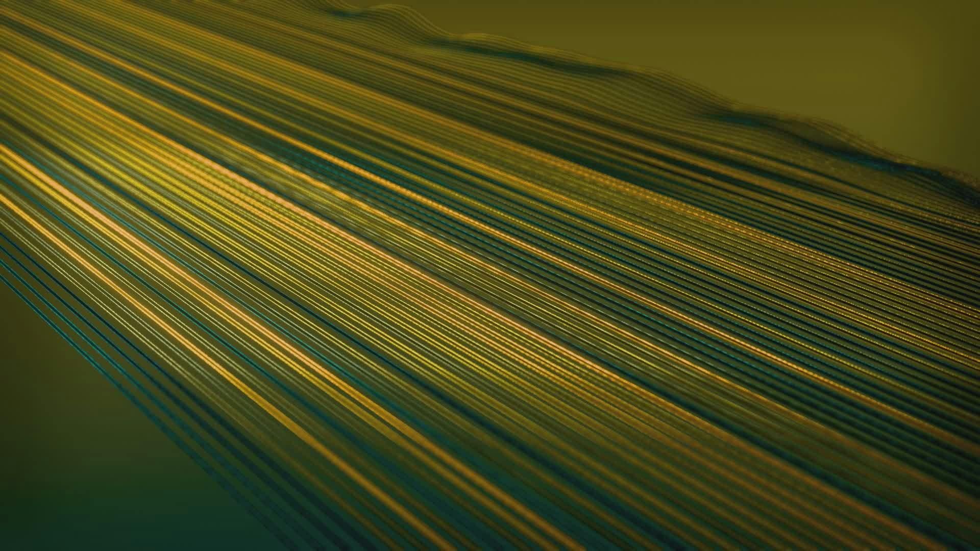 Video by Nicola Narracci