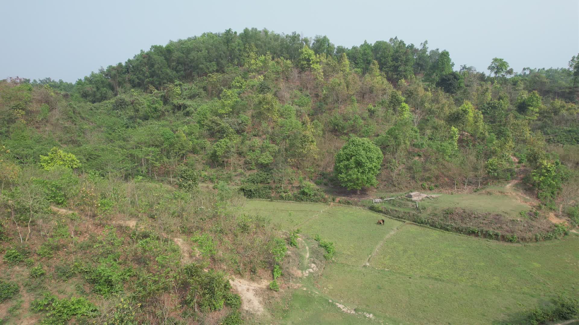 Lush Greenery Aerial View of Scenic Landscape Free Stock Video Footage ...