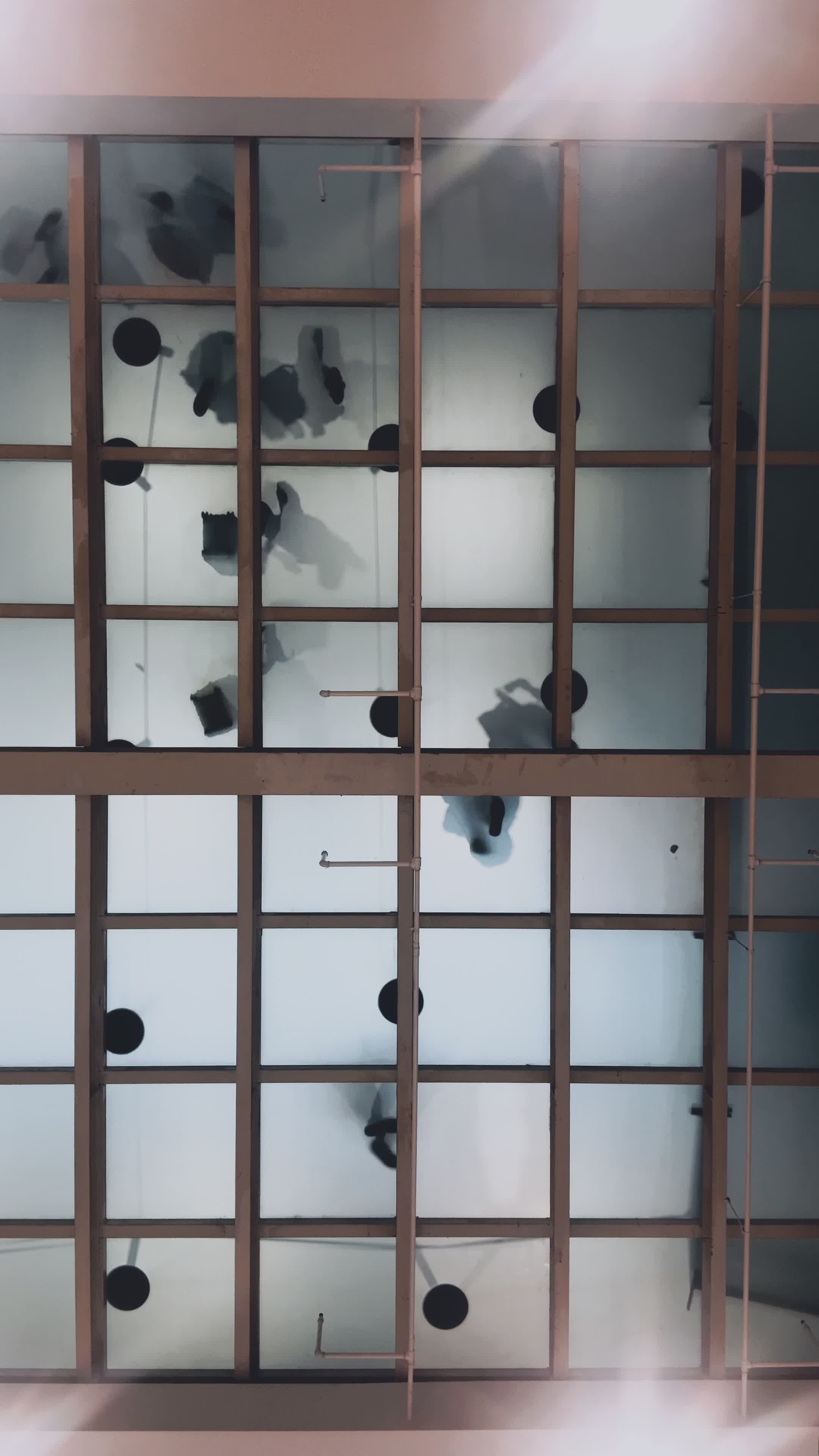 Video by Shuttercraftsman