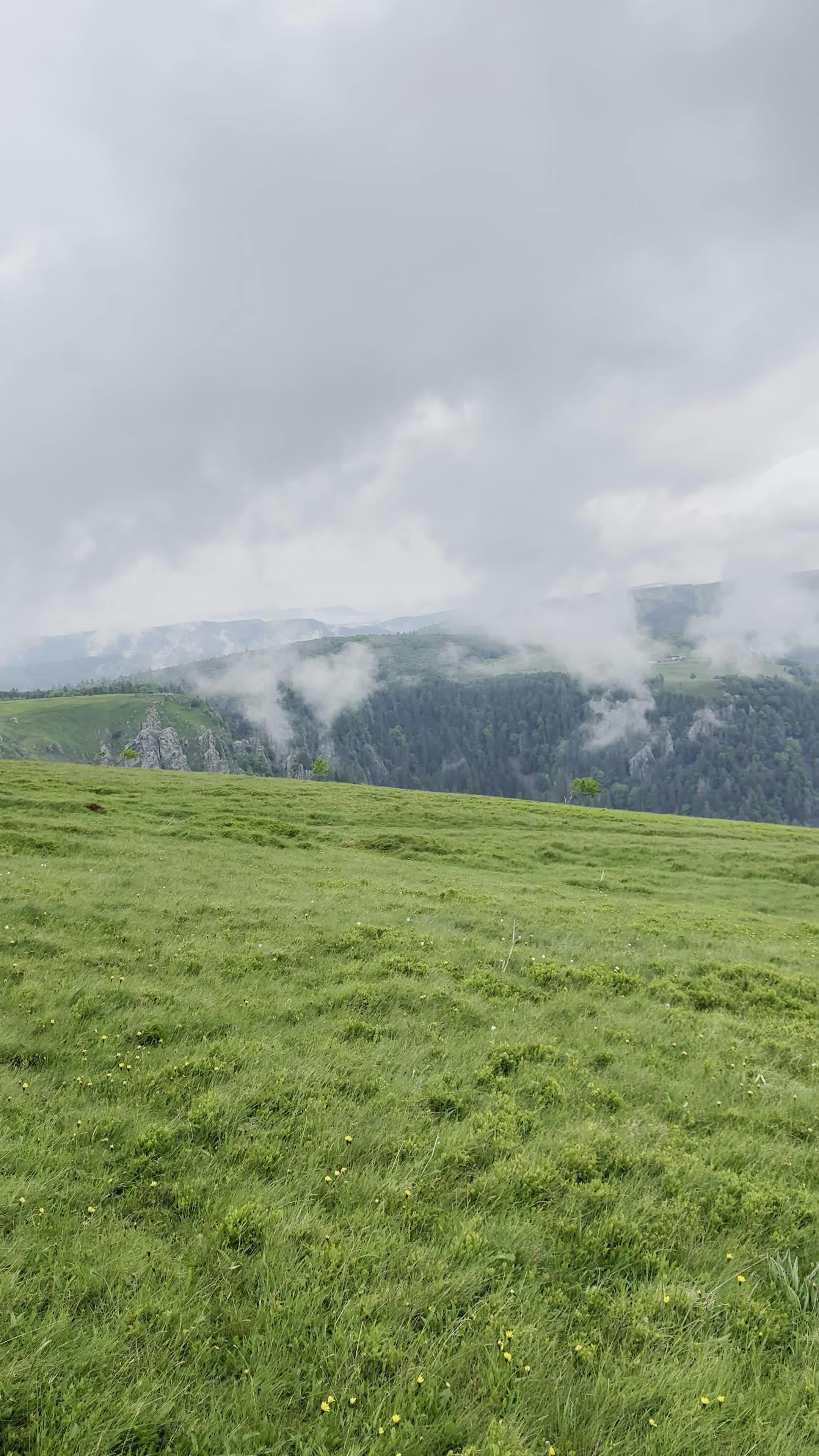 Video by Gaetan THURIN