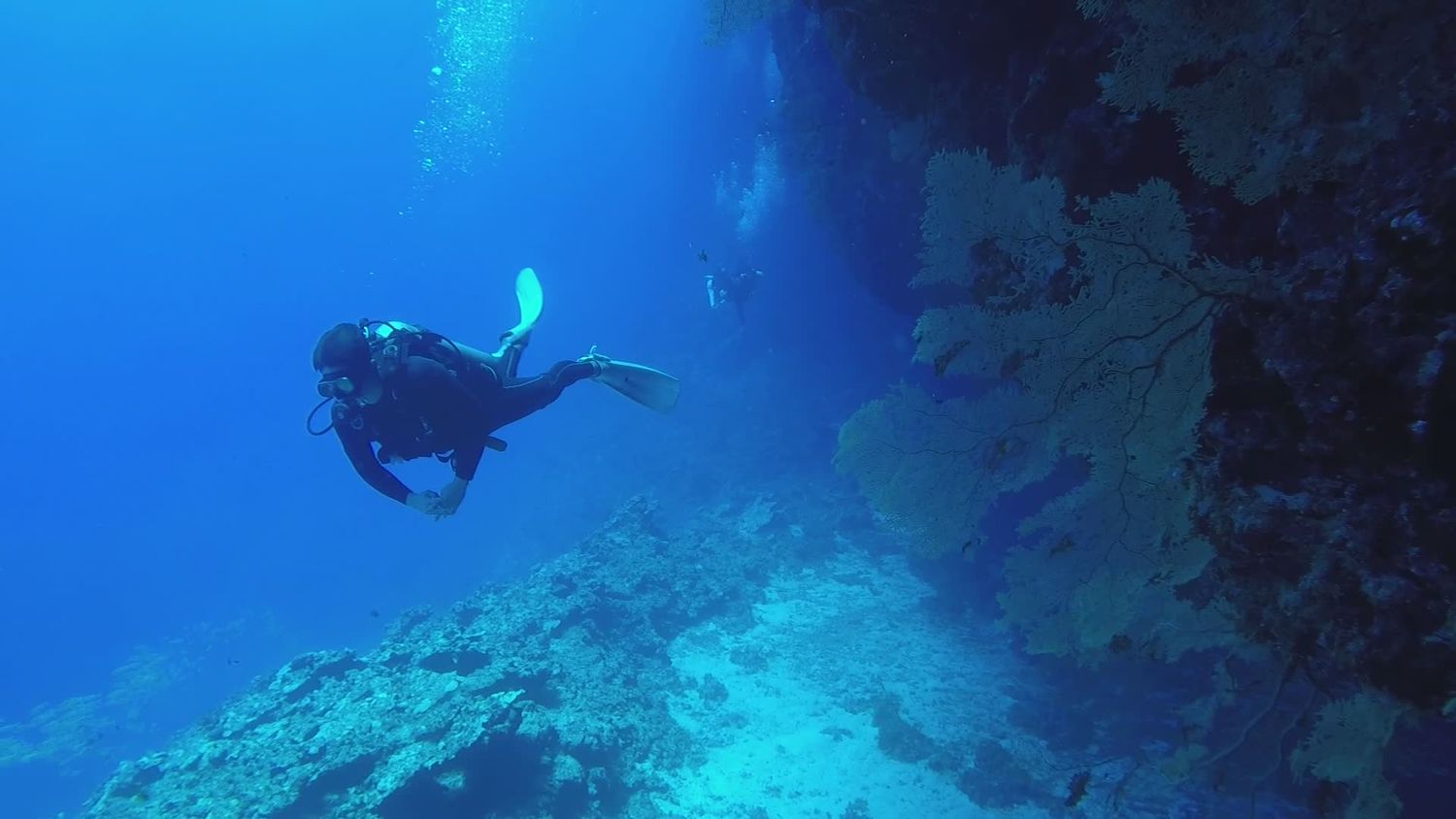 Deep Underwater Videos, Download The BEST Free 4k Stock Video Footage ...