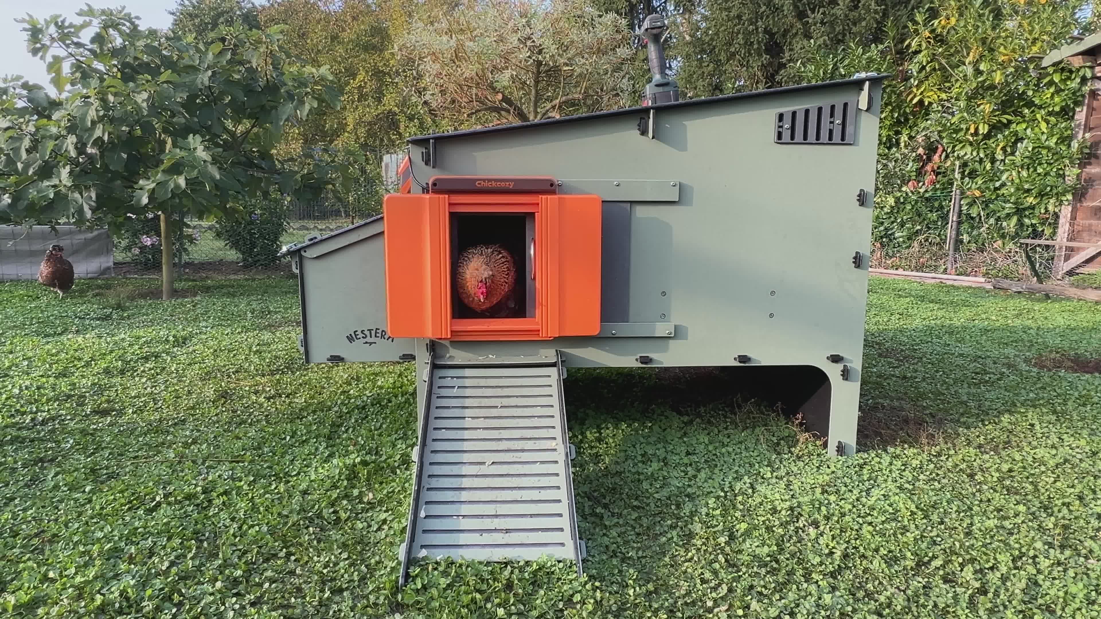 Chicken Entering Modern Automated Chicken Coop Free Stock Video Footage ...