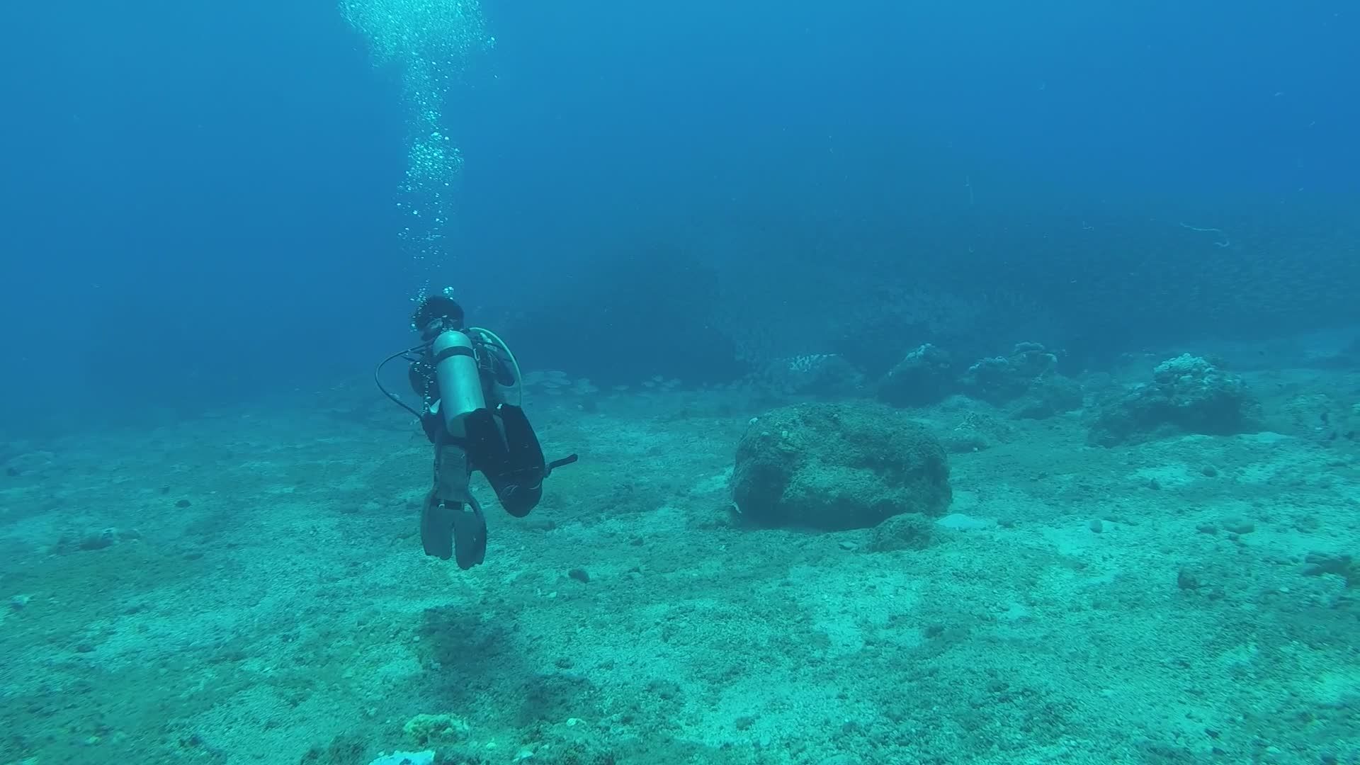 Scuba Diver Exploring Underwater Coral Reef Free Stock Video Footage ...