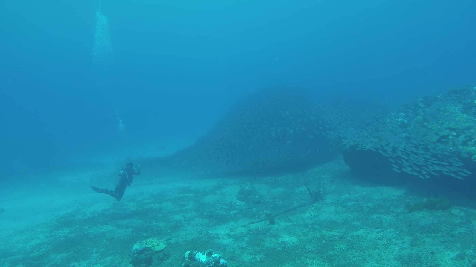 A Diver Exploring Vibrant Underwater Coral Reef Free Stock Video ...