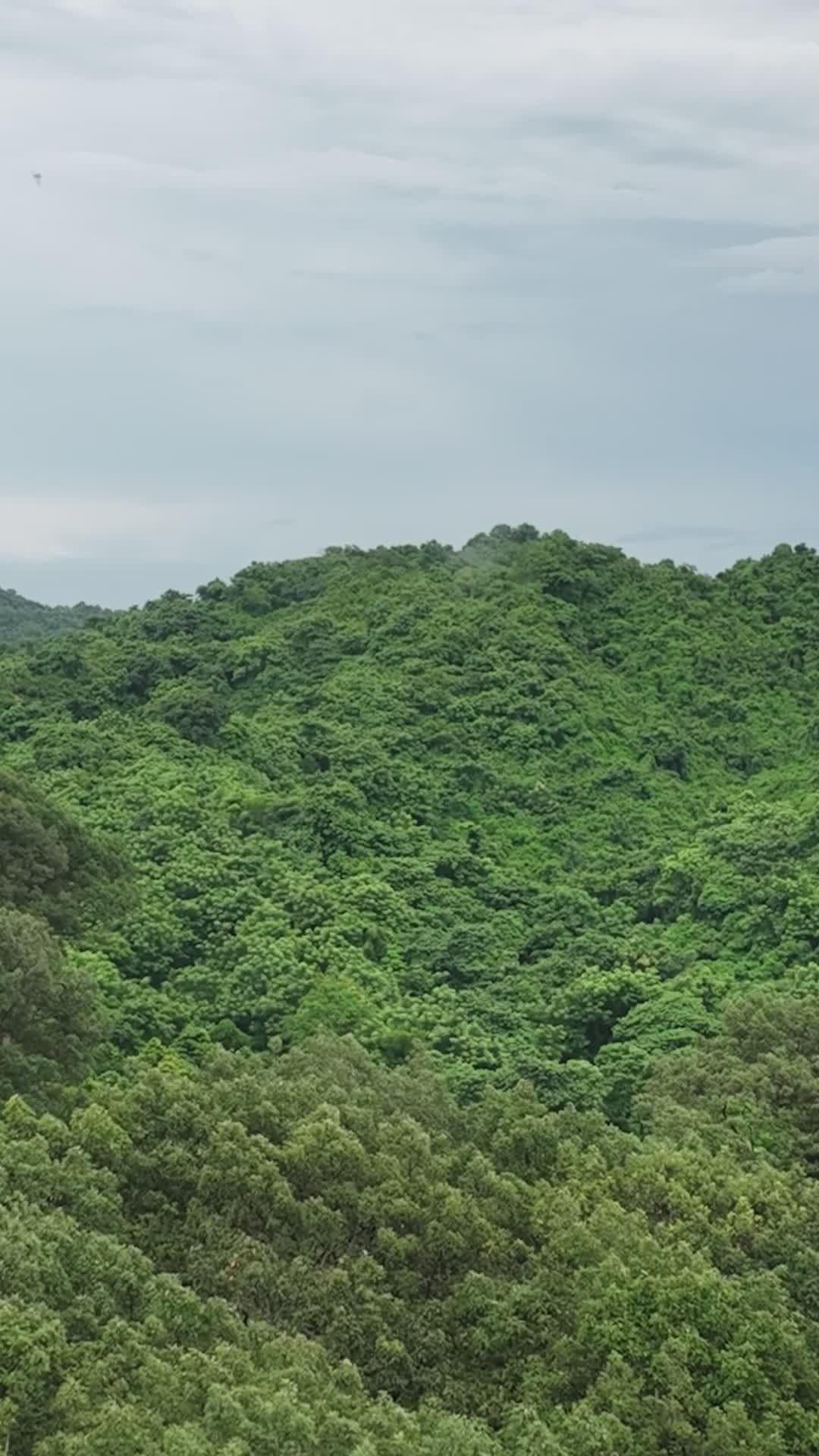Stunning Aerial View of Lush Green Hills in Bangladesh Free Stock Video ...