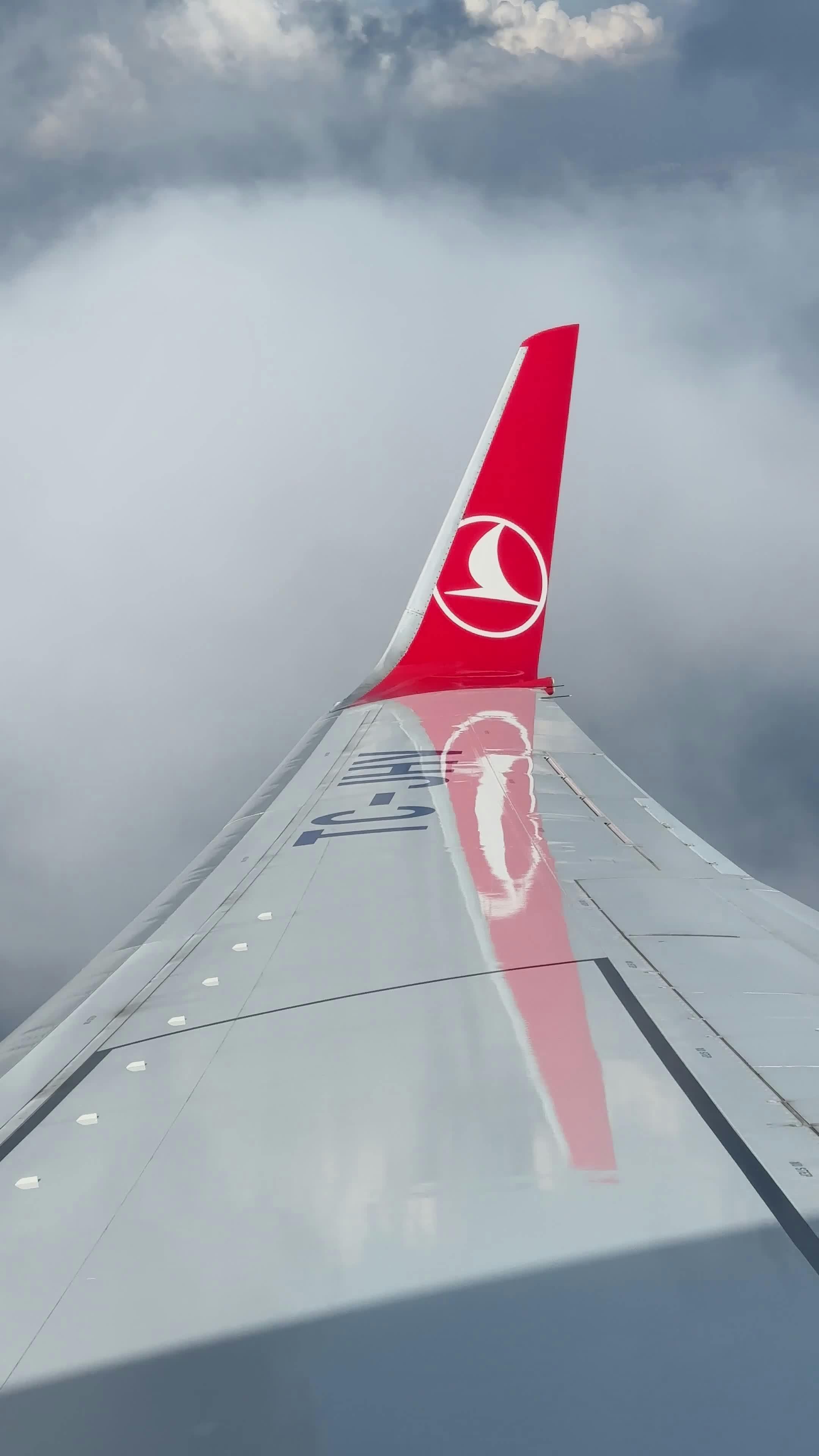 Video by Şeyhmus Kino