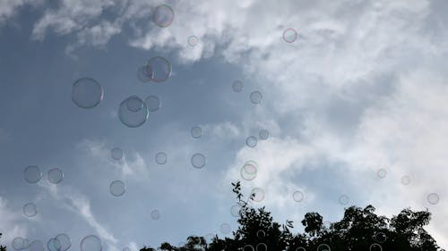Bubbles From Soap Suds Floating In The Air