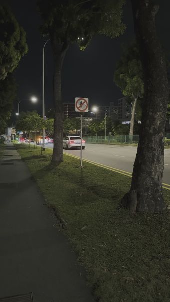 街道旁边的月亮免费下载视频素材