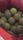 tennis ball
