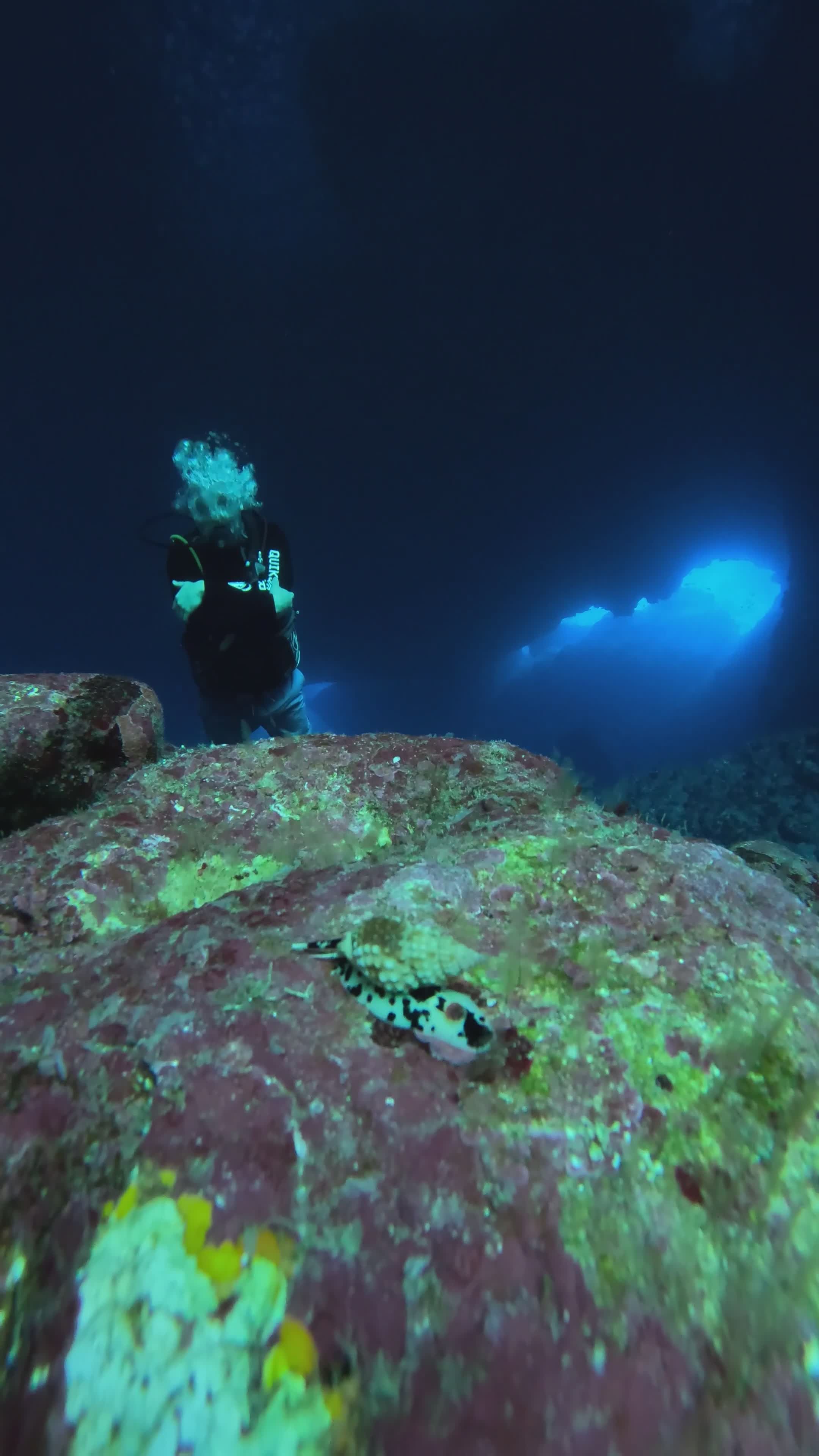 Underwater Adventure with Deep Sea Diver Free Stock Video Footage ...