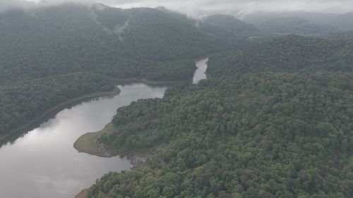 Serene Aerial View of Misty Forest River Free Stock Video Footage ...