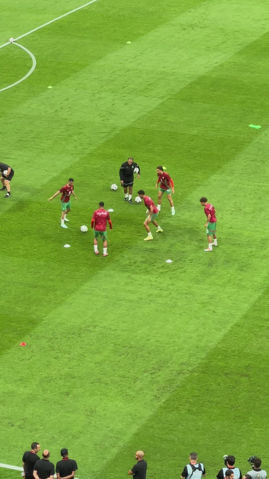 Soccer Team Warm-Up on a Green Field Free Stock Video Footage, Royalty ...