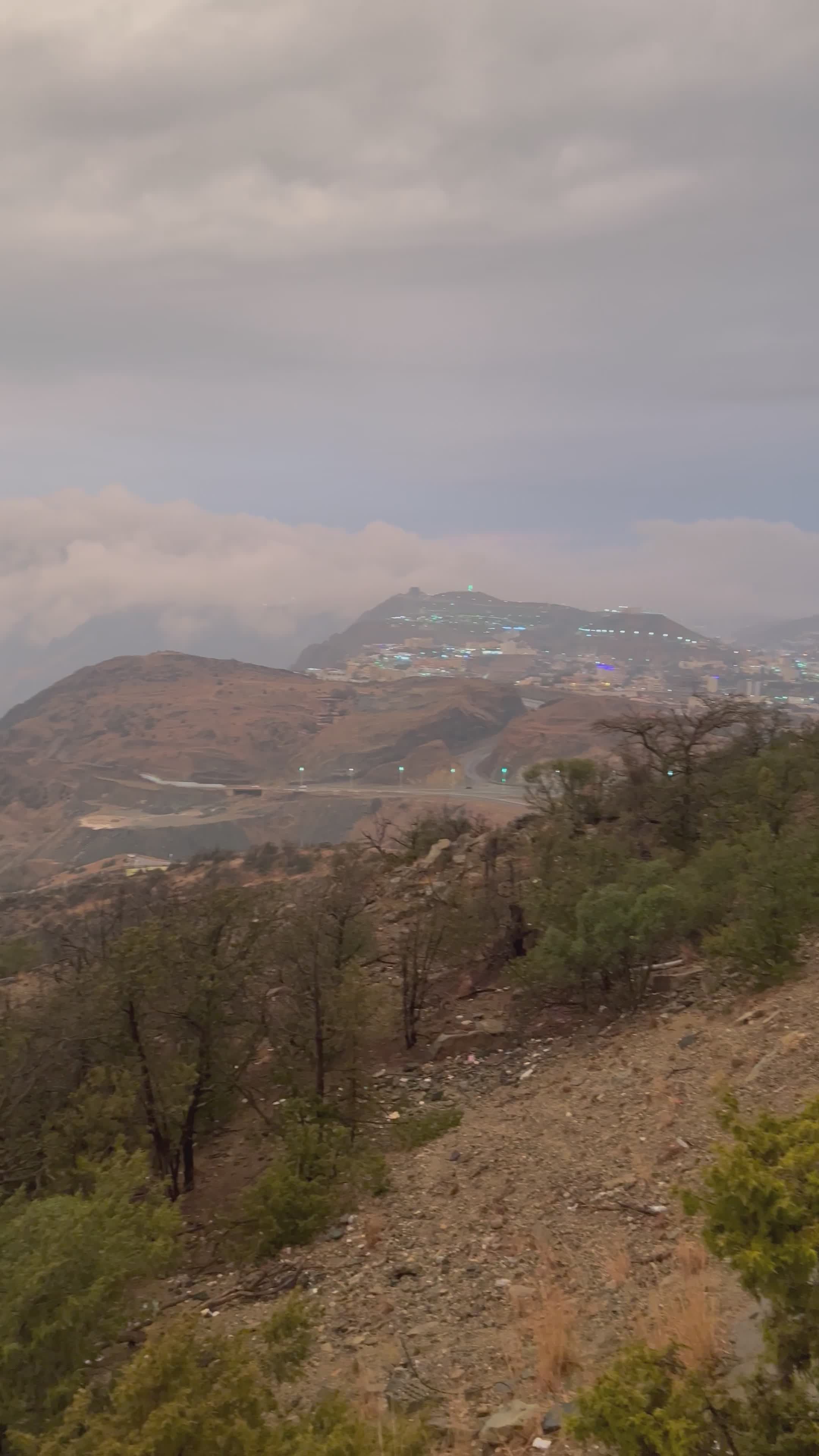 Foggy Mountainscape with Dense Fog and Forest Free Stock Video Footage ...