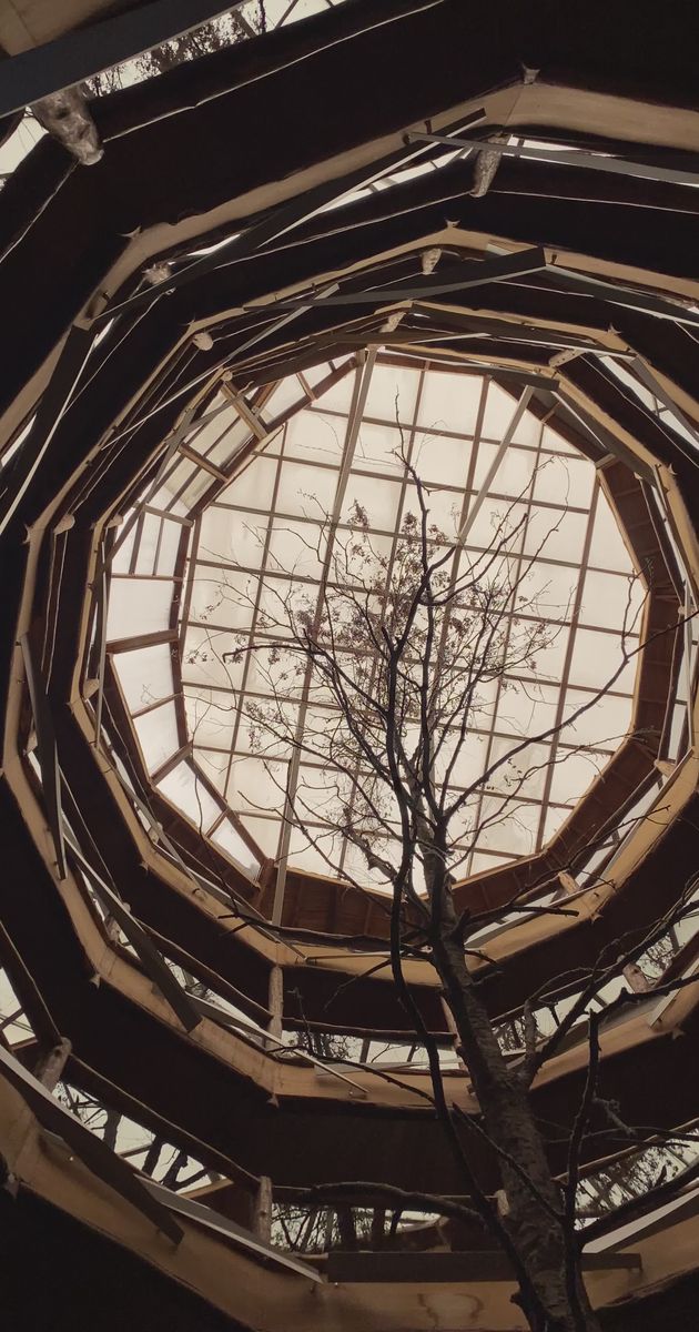 spiral architectural view with central tree 34463972