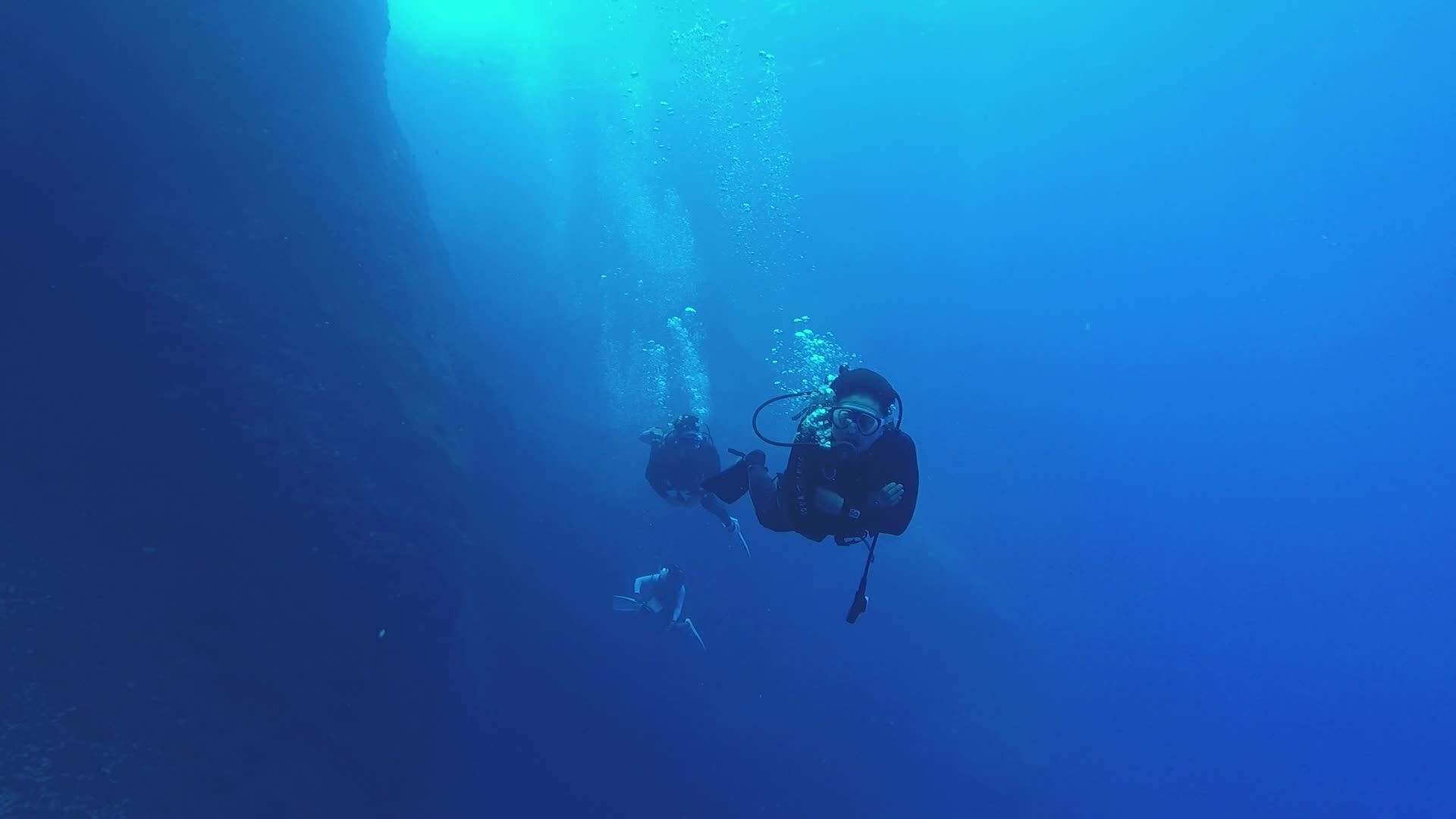 Diving Tour Operator video