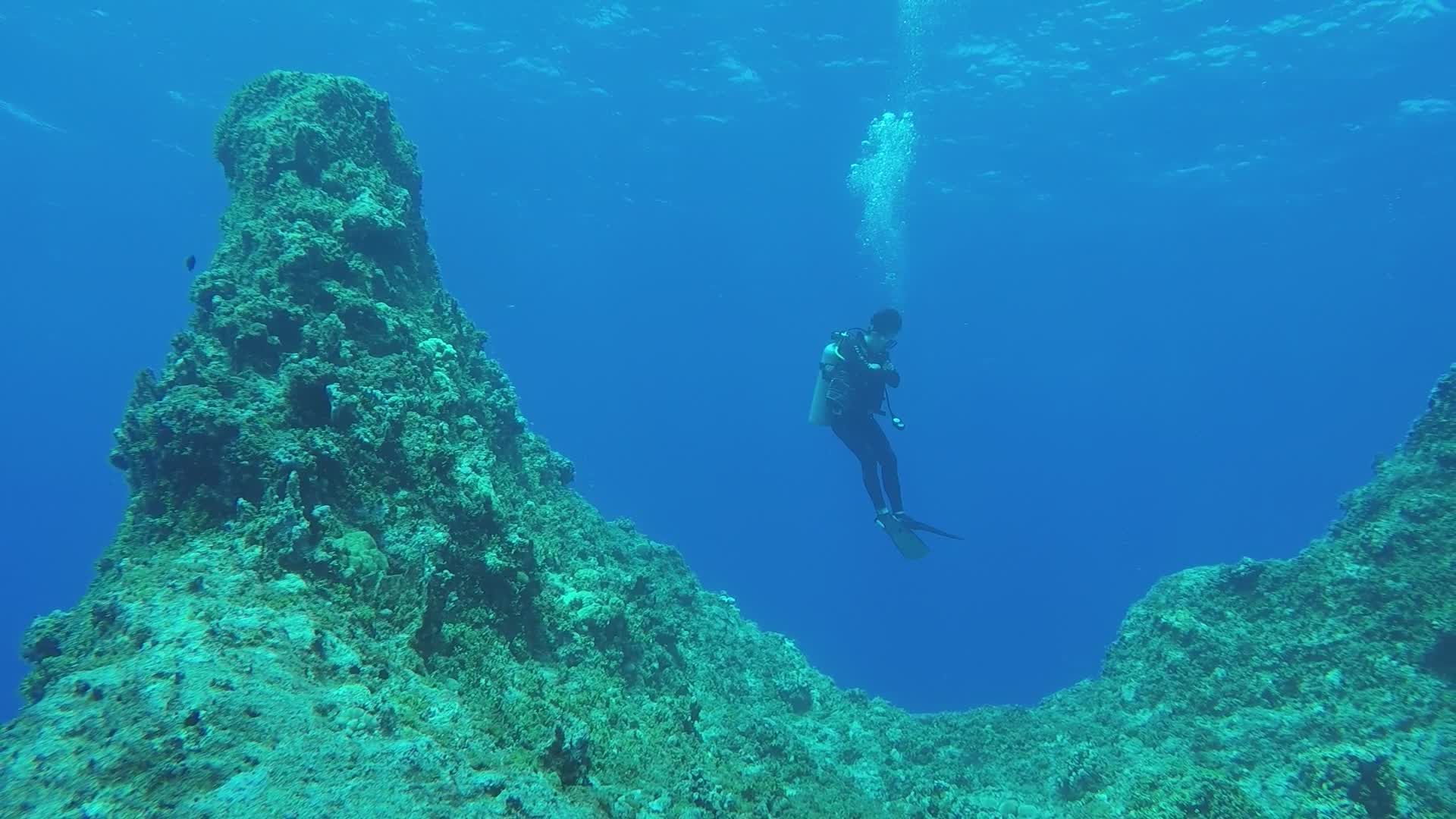 Scuba Diver Exploring Underwater Coral Reef Free Stock Video Footage ...