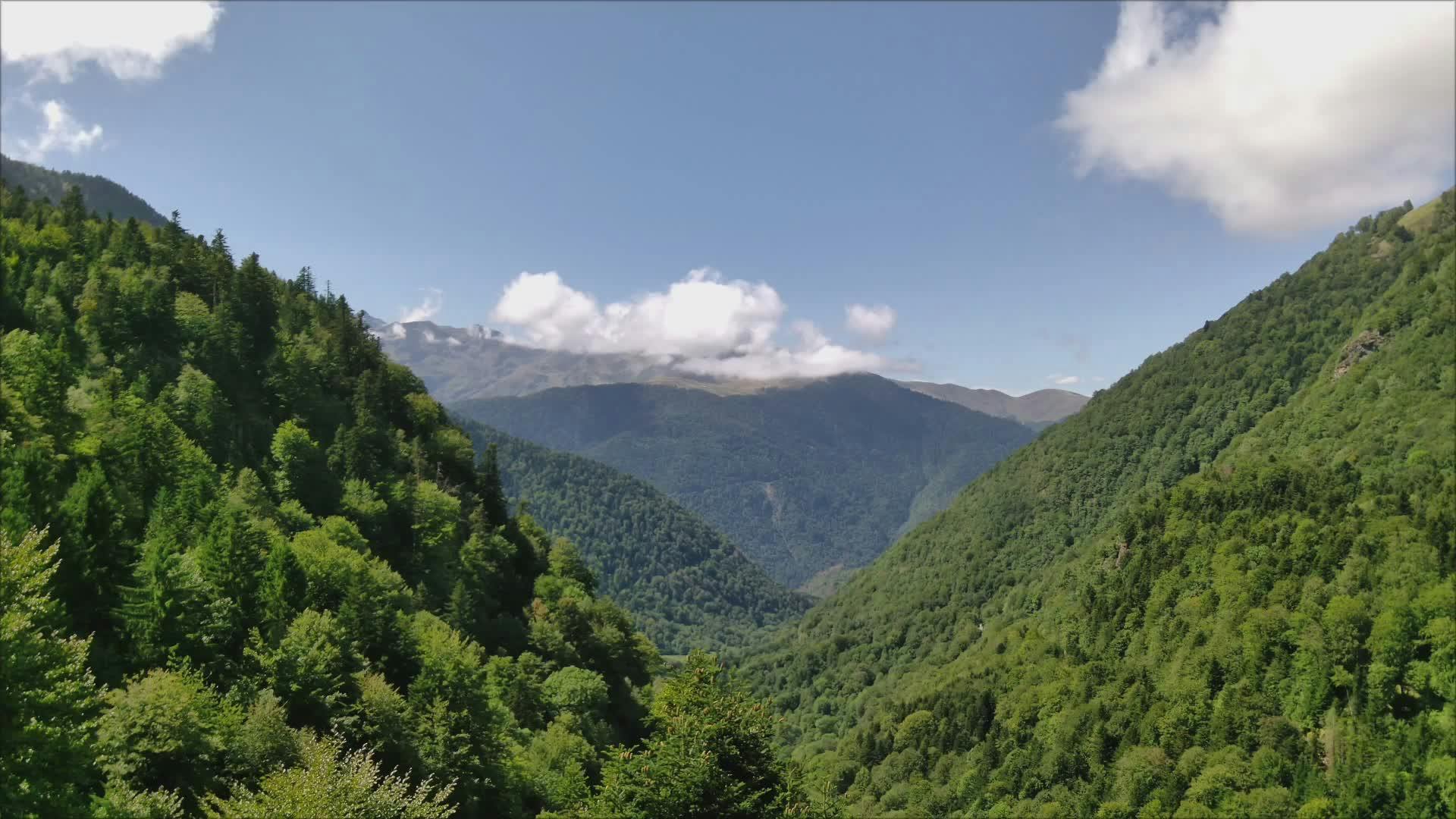 Video by Charles Martin