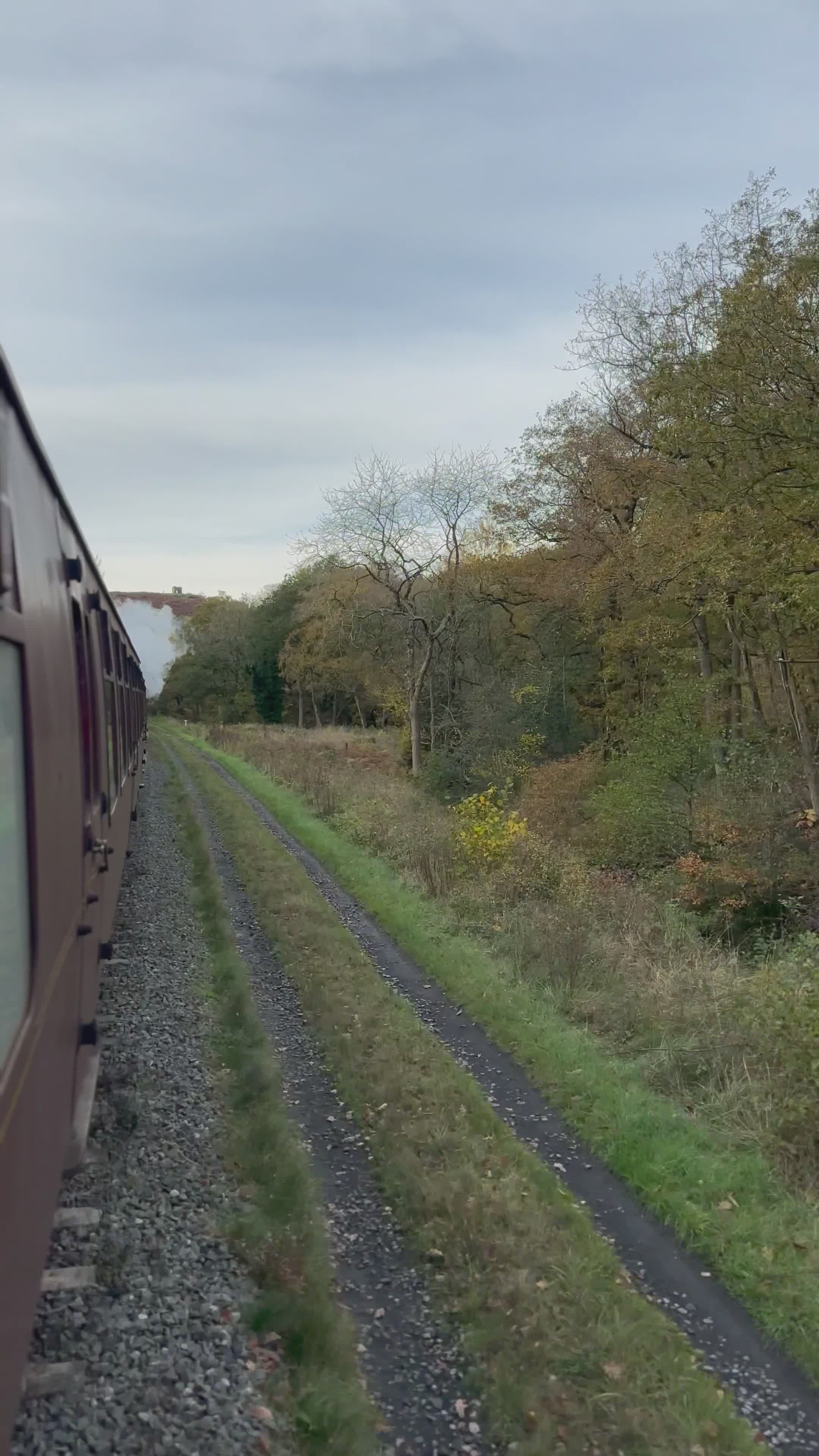 Scenic Steam Train Ride Through Autumn Forest Free Stock Video Footage ...