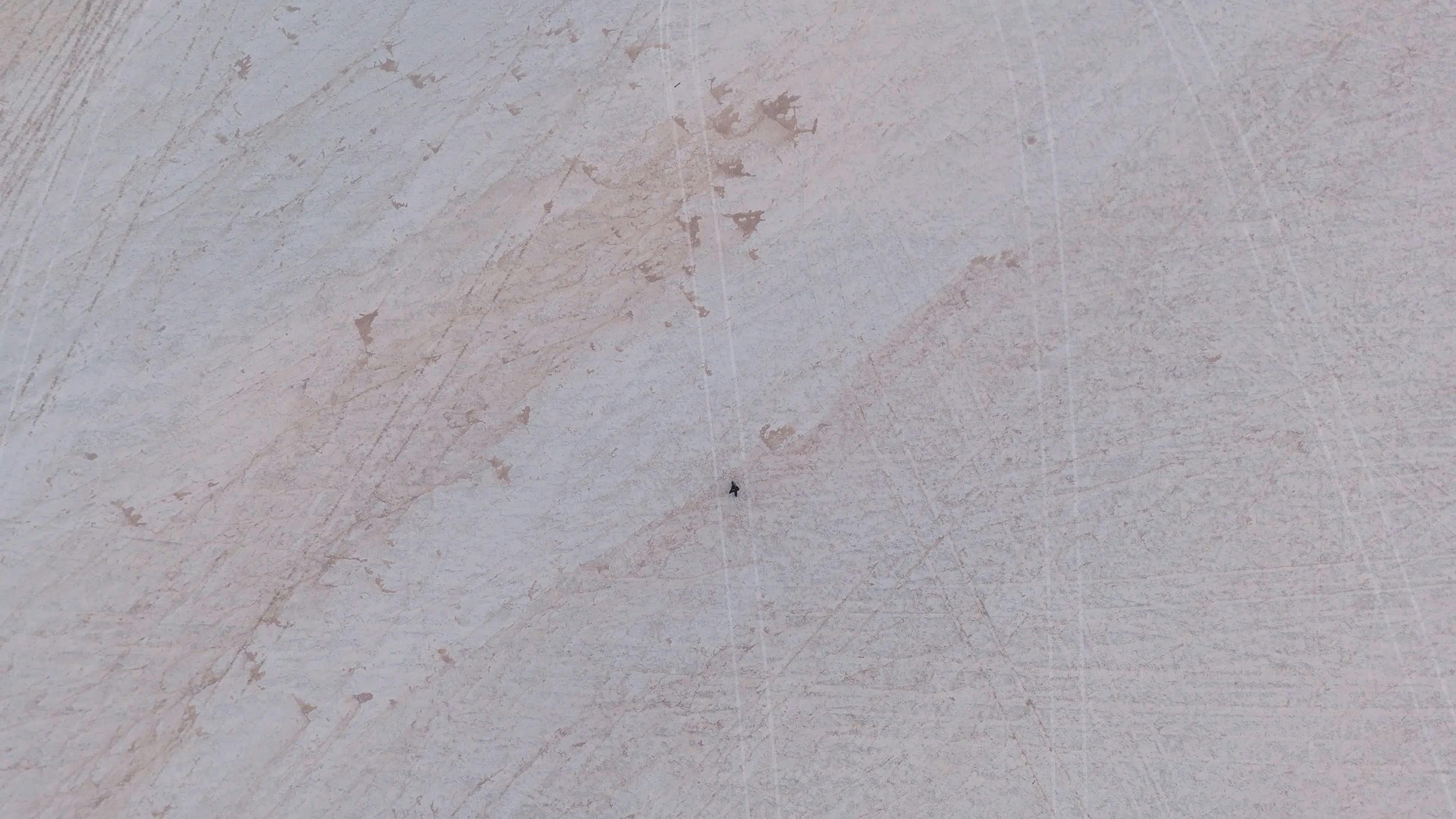 Video by Alex Moliski