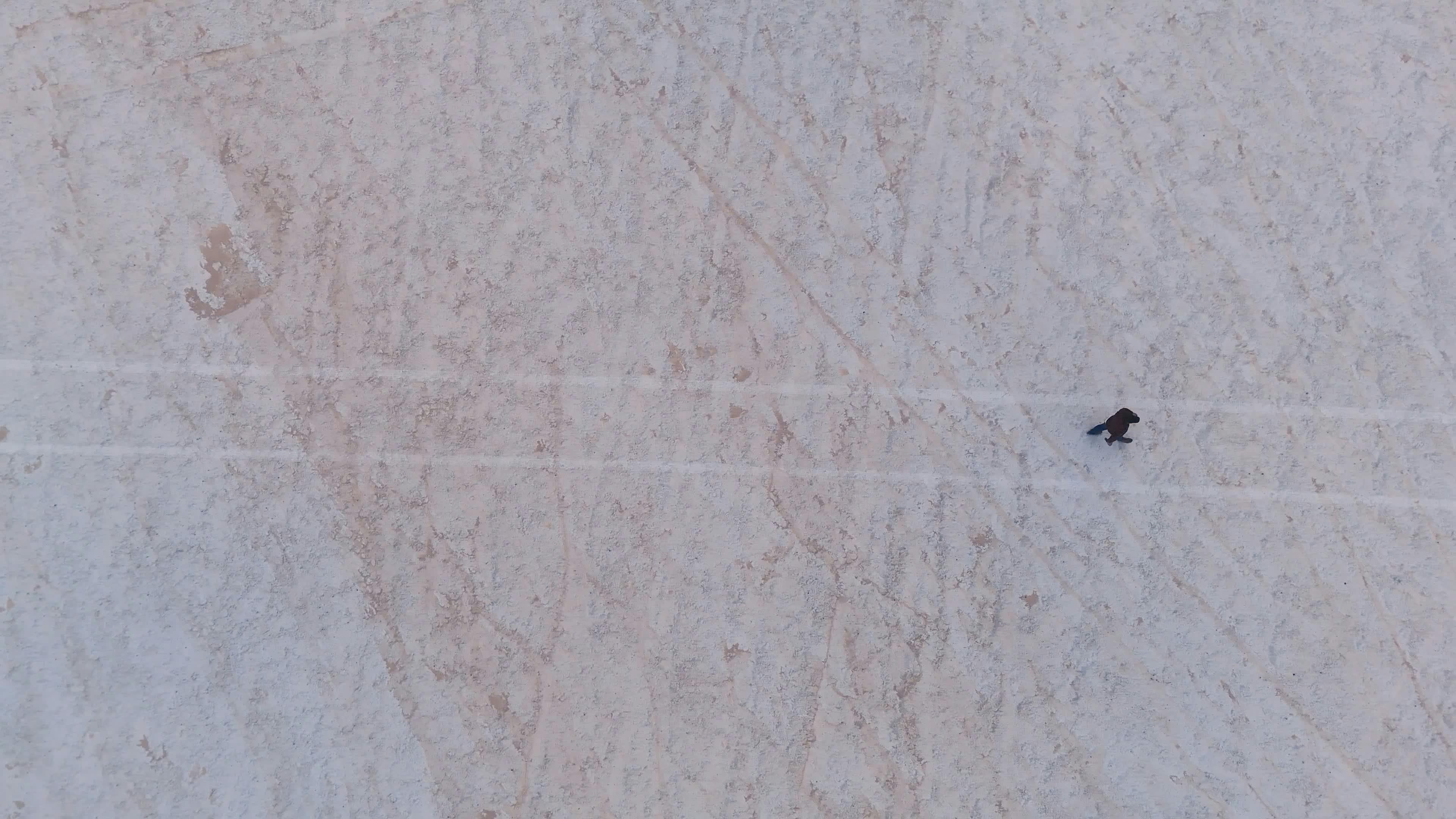 Video by Alex Moliski