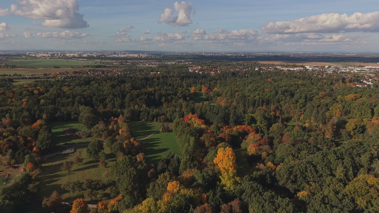 Stunning Aerial View of Autumn Forest Landscape Free Stock Video ...