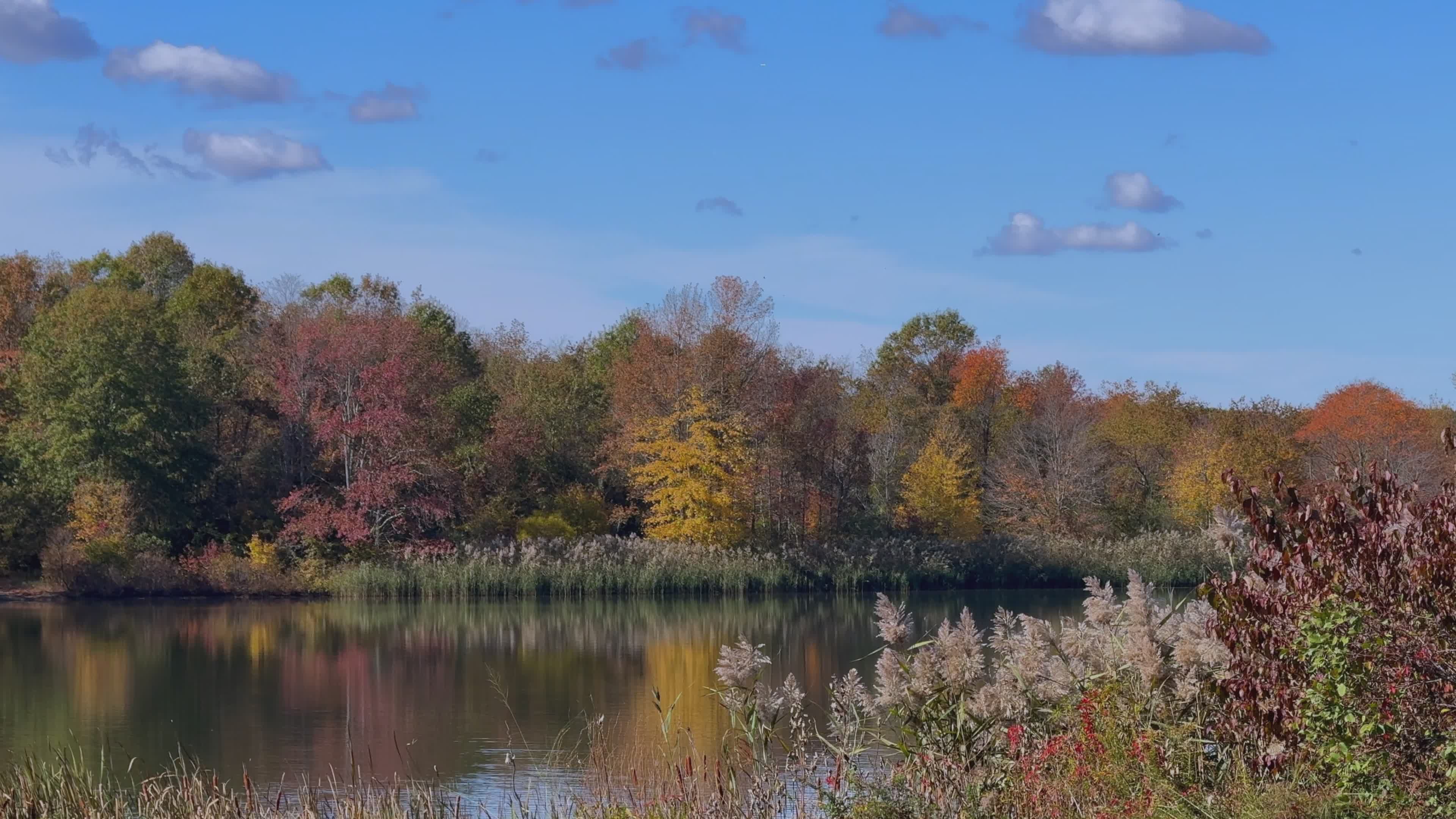 Serene Autumn Lake with Vibrant Foliage Reflection Free Stock Video ...